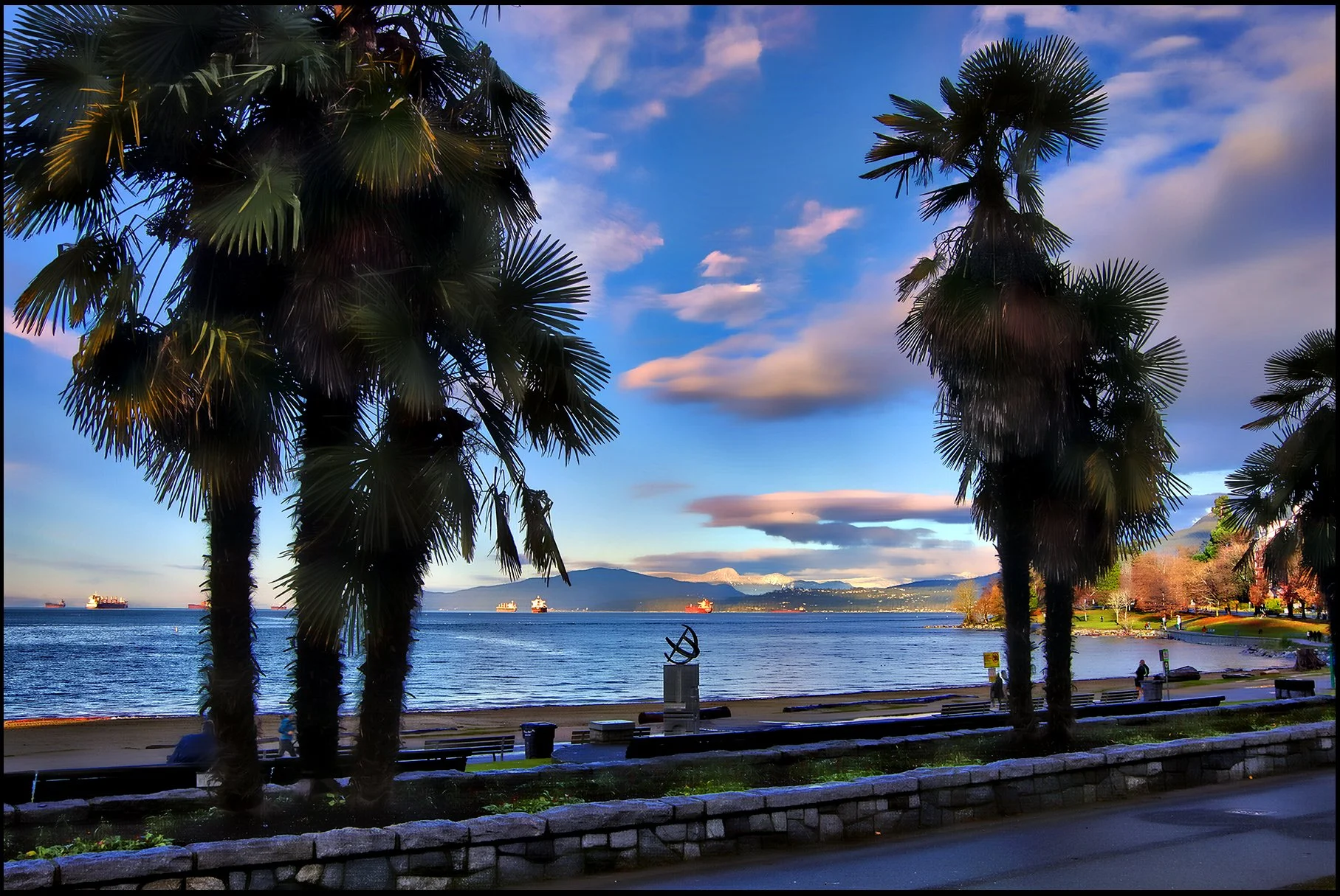 English Bay Palm Trees_Dec 2_2023_HDR_5E1883_peHdr2013_1_4x6.jpg