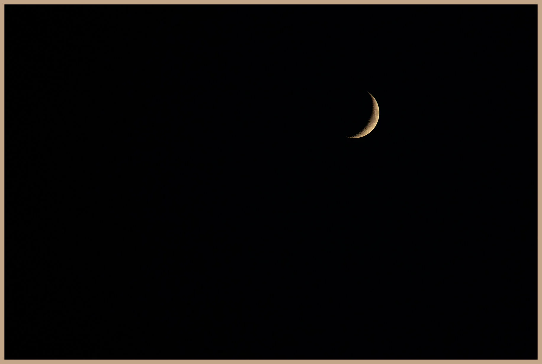 Quarter Moon_Jul 14_2021_CR2_4G0336_4x6s.jpg