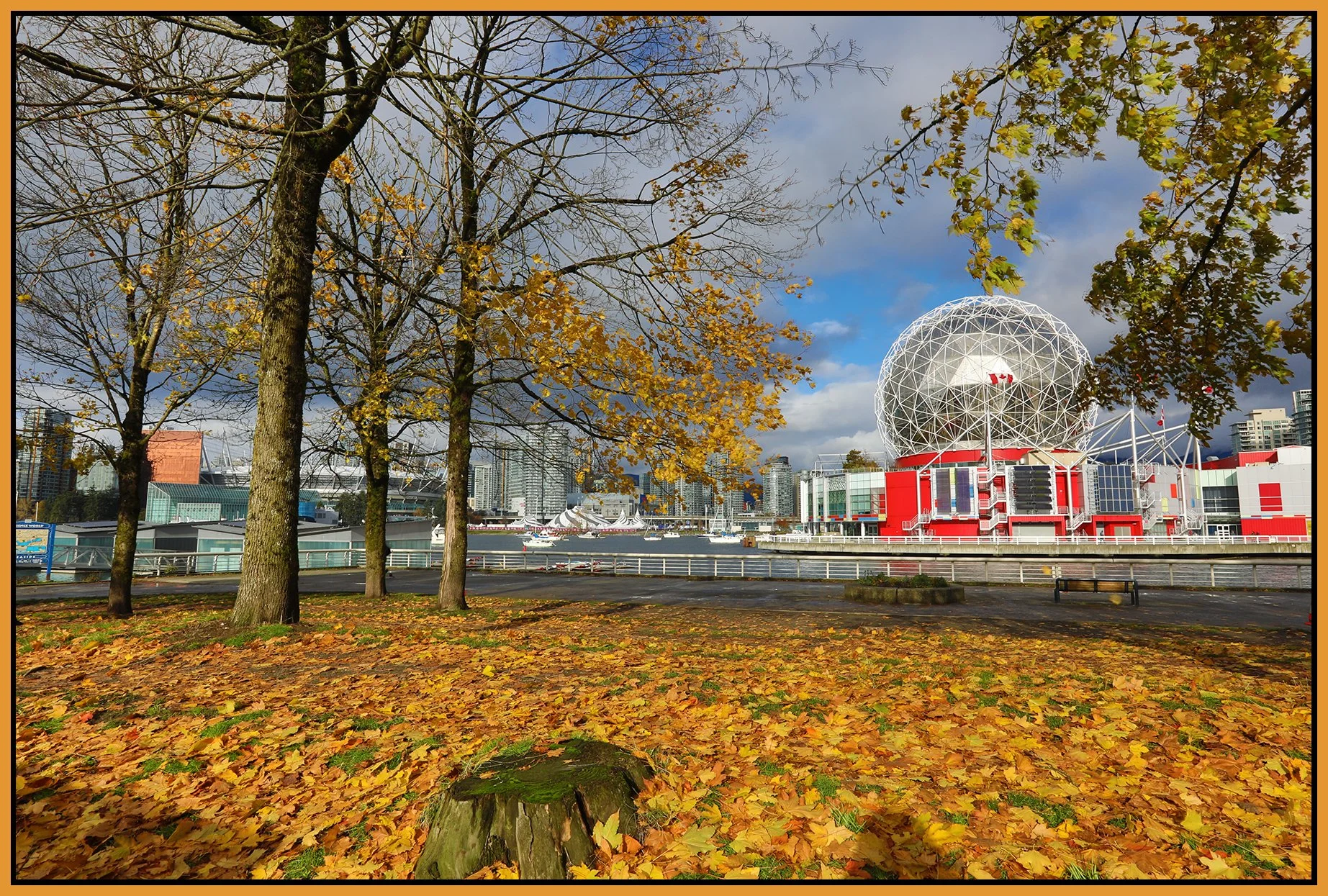 4 View False Ck_Nov 19_2023_HDR_5C9708_4x6s.jpg