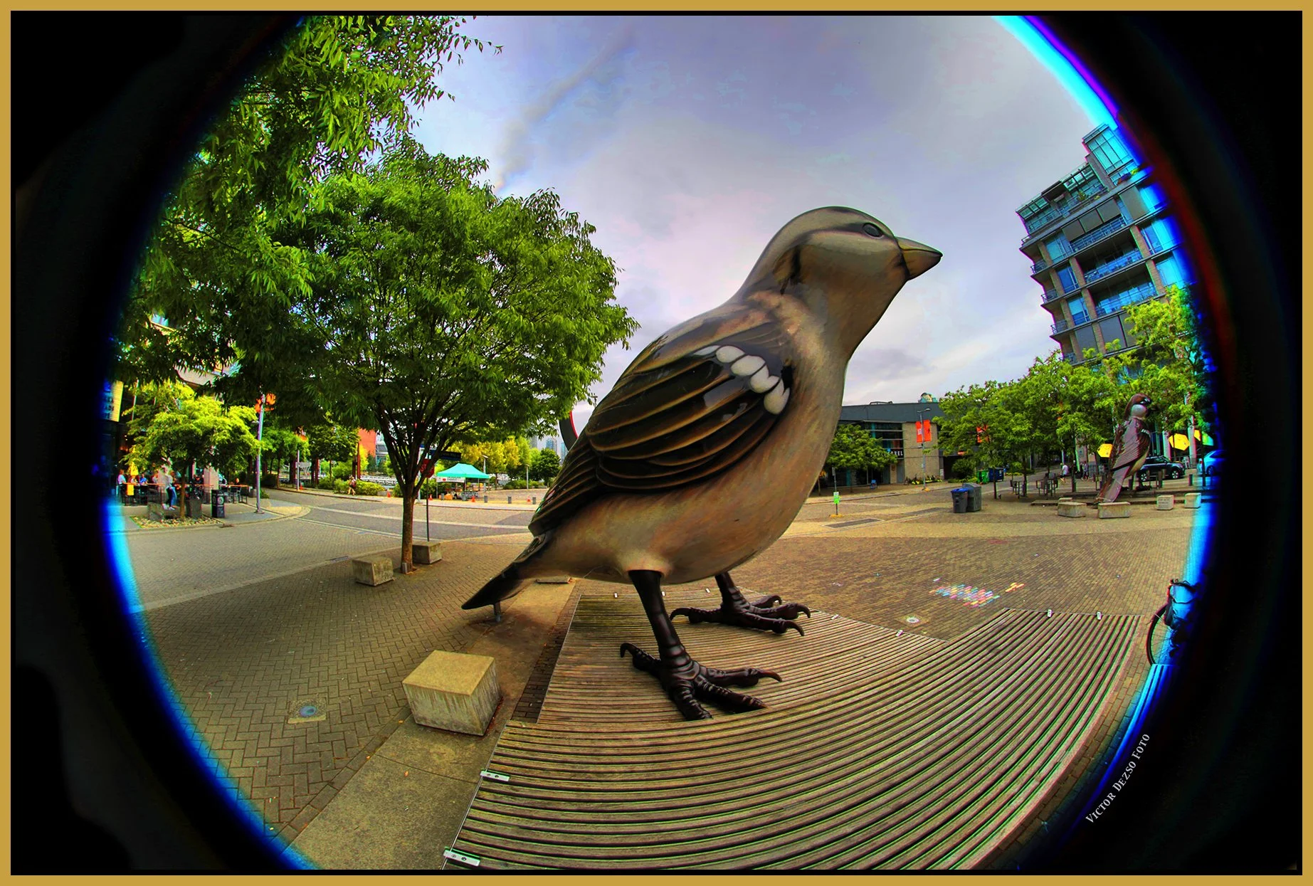 The Village Bird Art LkgN_Jul 2_2025_HDR_5F5163_peWater_HyperNude_4x6s.jpg