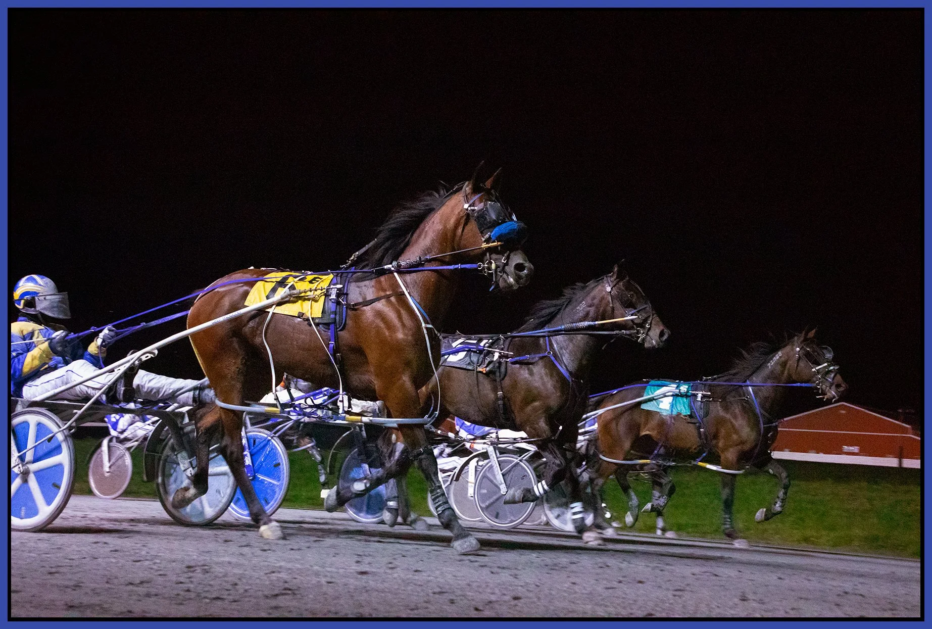 Fraser Downs_Oct 20_2021_CR2_5A7752_4x6s.jpg