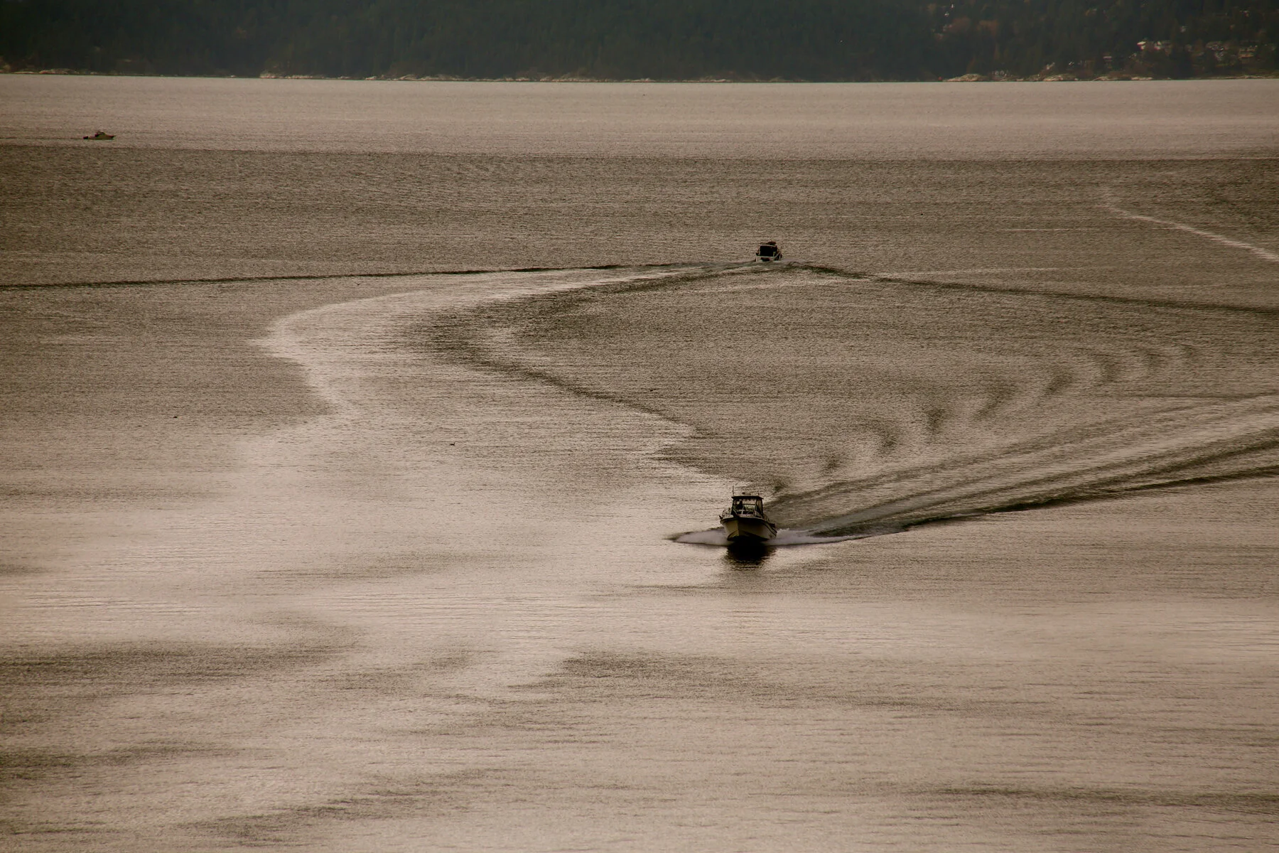 English Bay Boats_Feb 18_2016_K4428_4x6.jpg