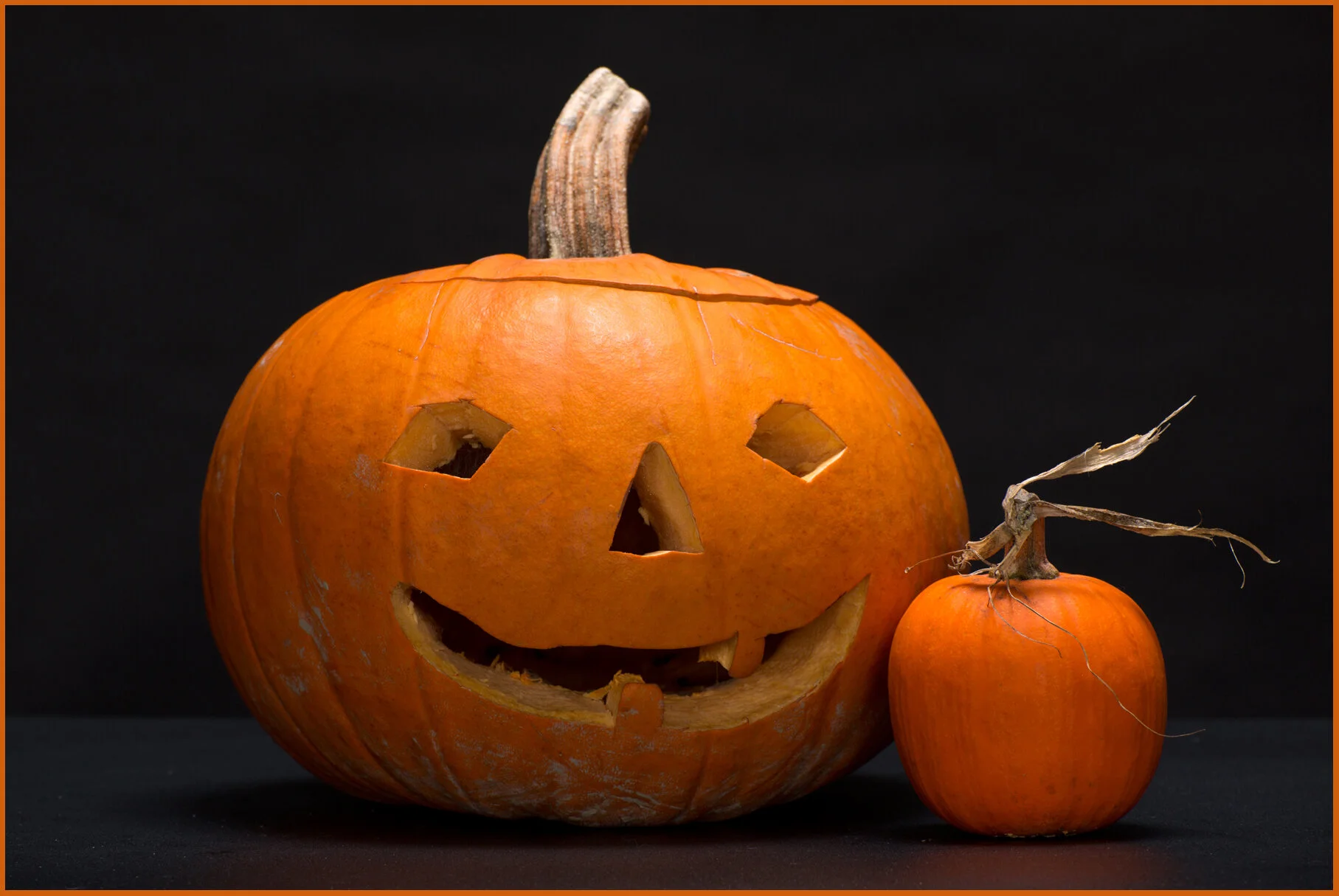 Pumpkin_Nov 3_2013_D2557_4x6s.jpg