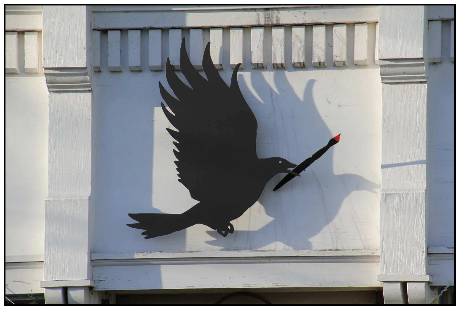 Black Bird_Strathcona_Mar 23_201_0161_4x6s.jpg