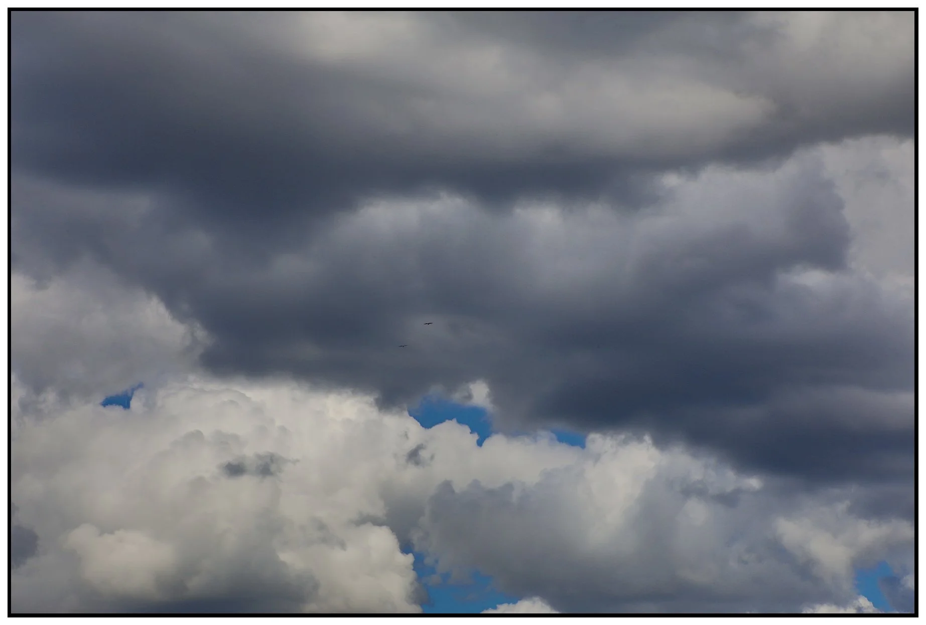 Clouds & Birds_Jun 10_2021_HDR_4G9787_4x6s.jpg