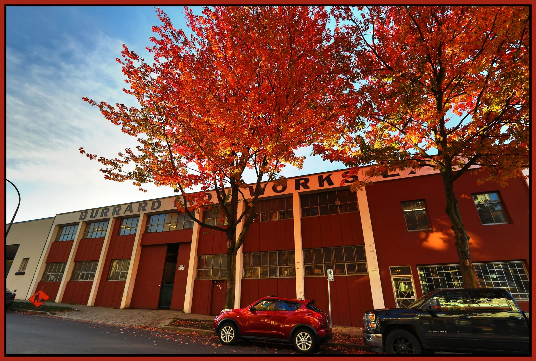 Alexander St Trees_Oct 24_2017_HDR_B3411_4x6s.jpg