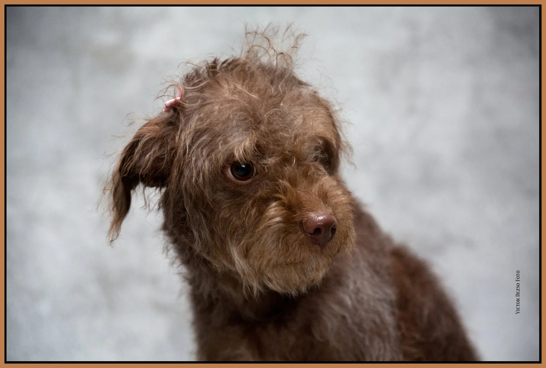 Frances_Feb 25_2015_4595_4x6s.jpg