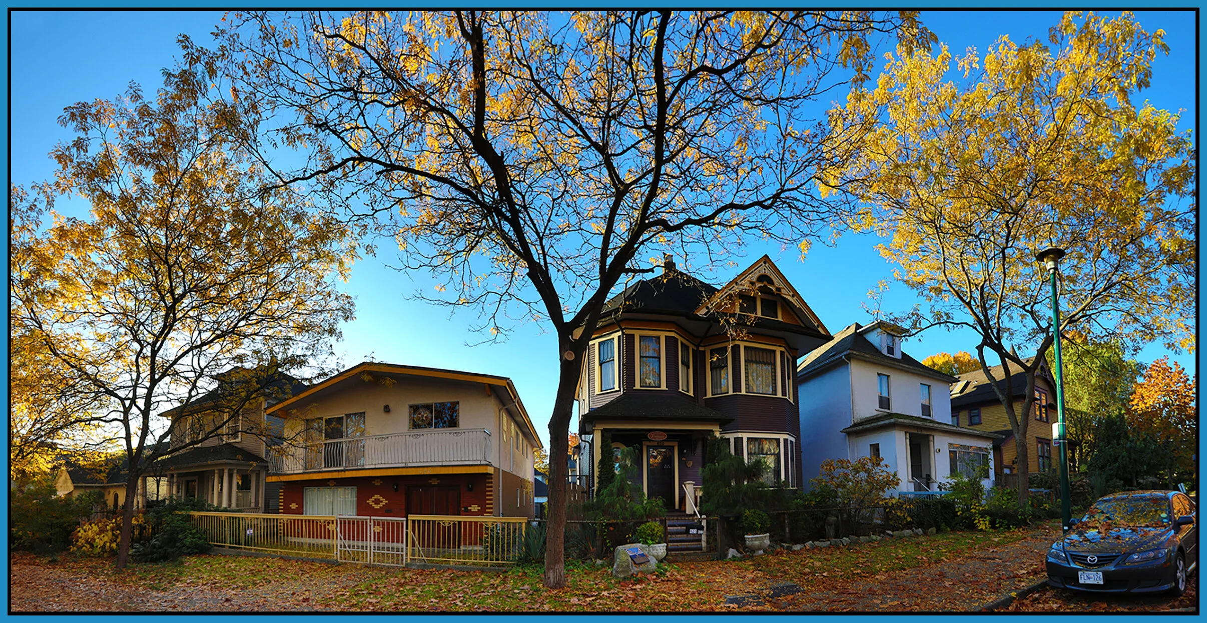 630 Keefer St Trees Strathcona_Nov 6_2020_HDR_Pan_4G2592_4x8_1s.jpg