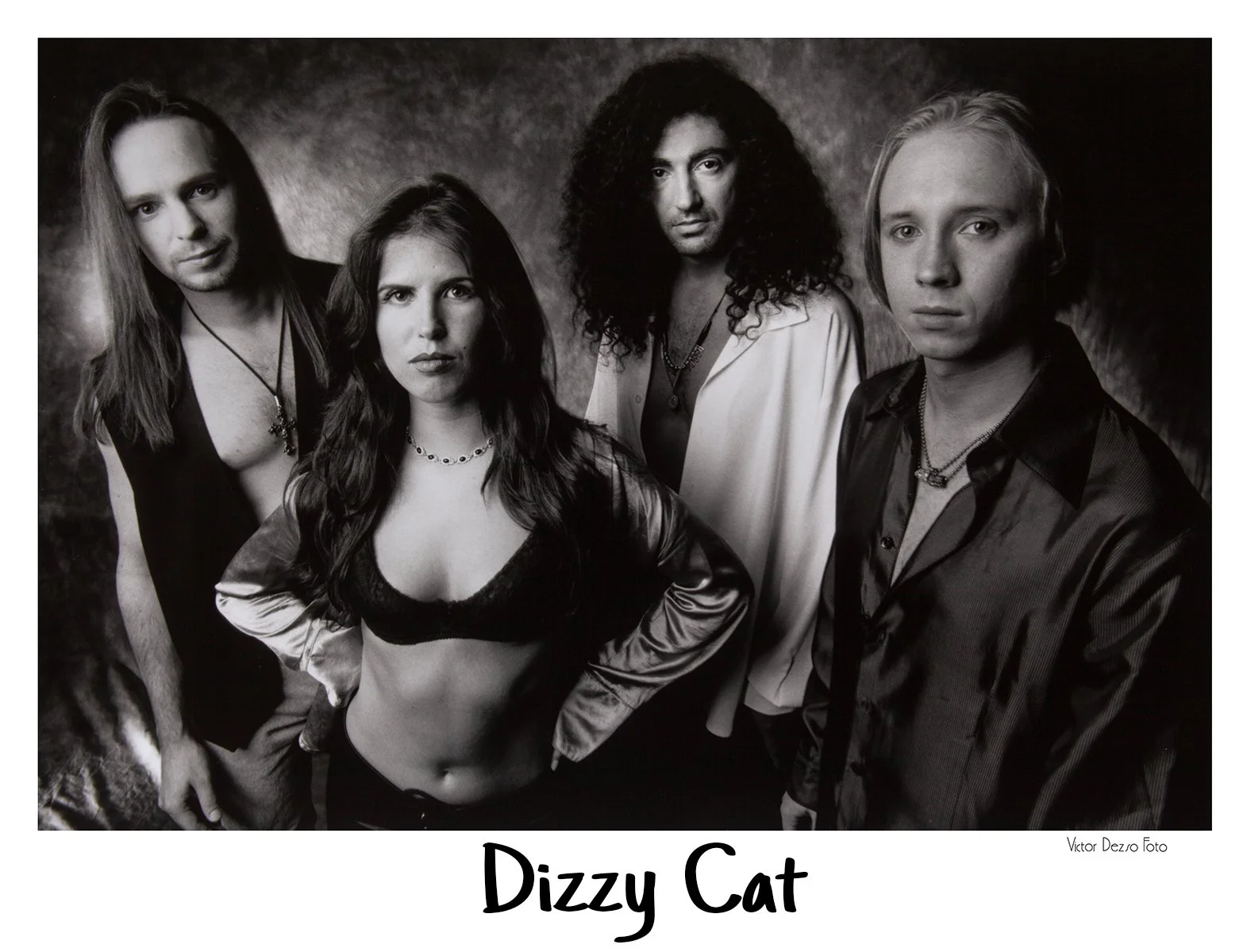 Dizzy Cat_7990_4x5.jpg