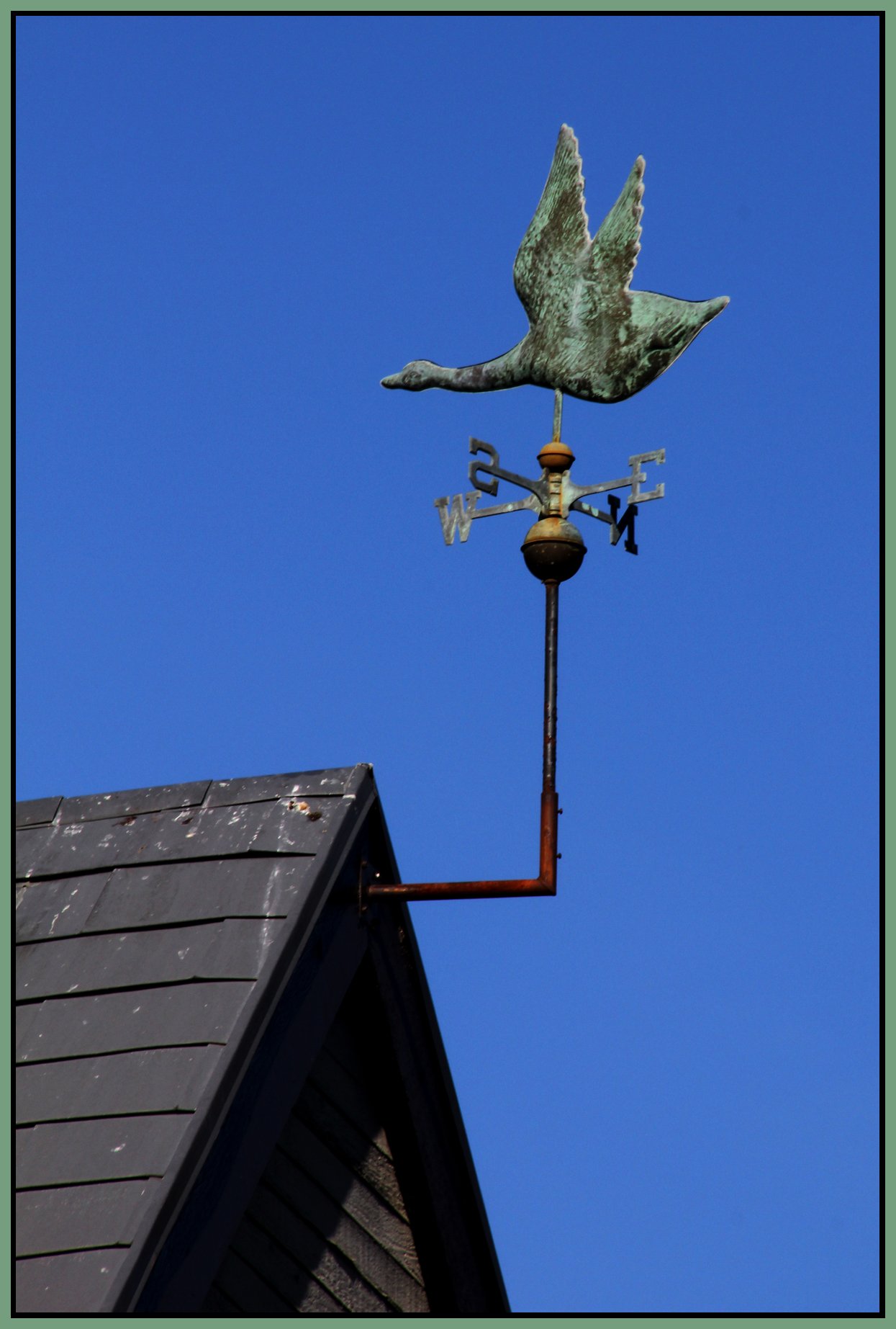 Weather Vane_Oct 9_2012_HDR_0266_4x6s.jpg