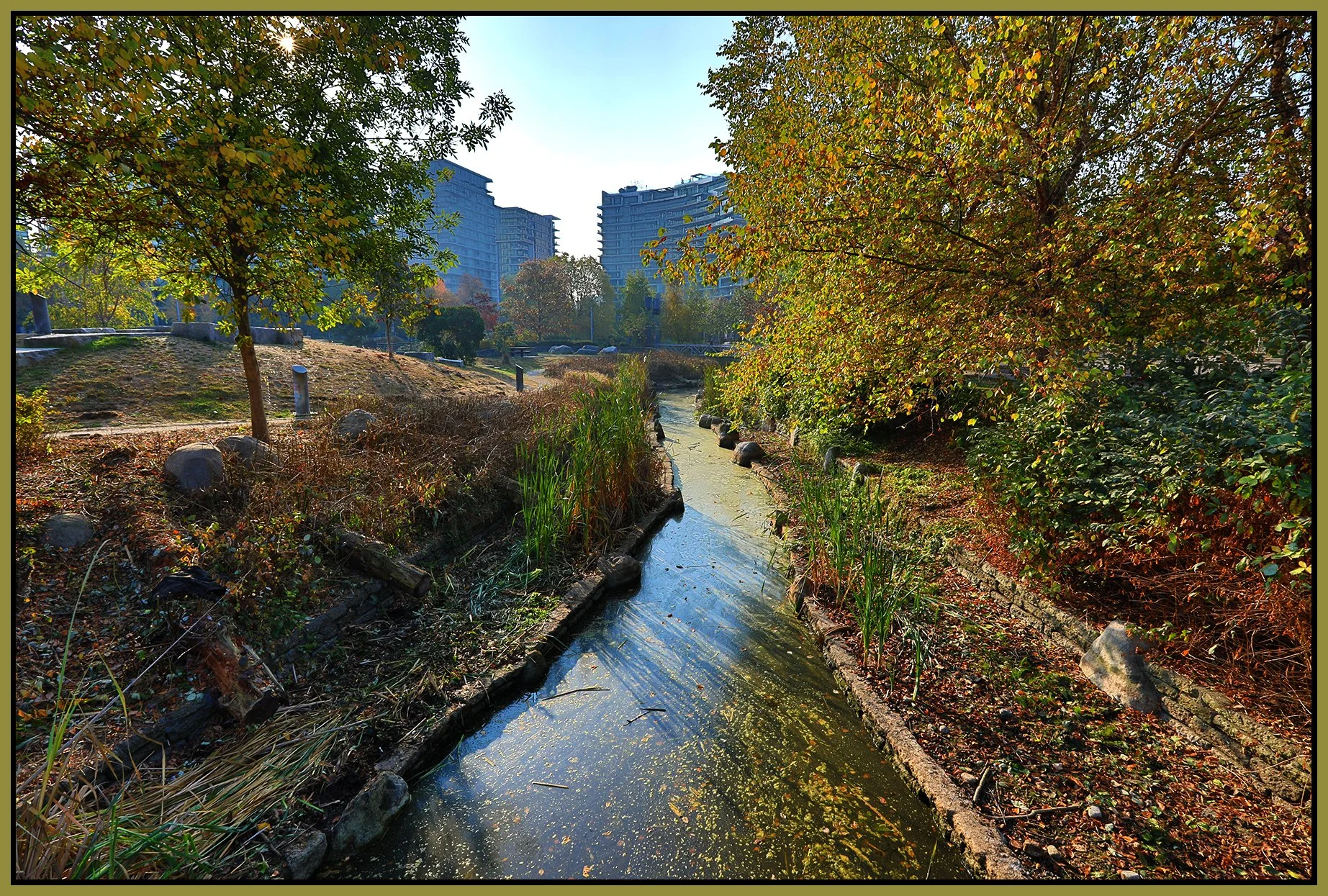 False Ck Creek_Oct 19_2022_HDR_5C3886_4x6s.jpg