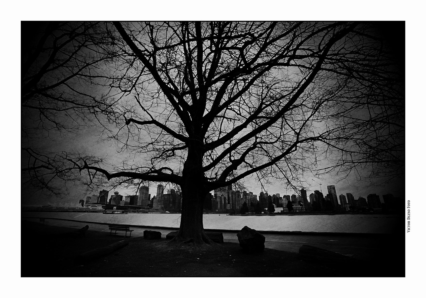 Vancouver from Stanley Park LkgS_Feb 20_2026_HDR_4K8955_peRecoverFadedPhoto_4x6s.jpg