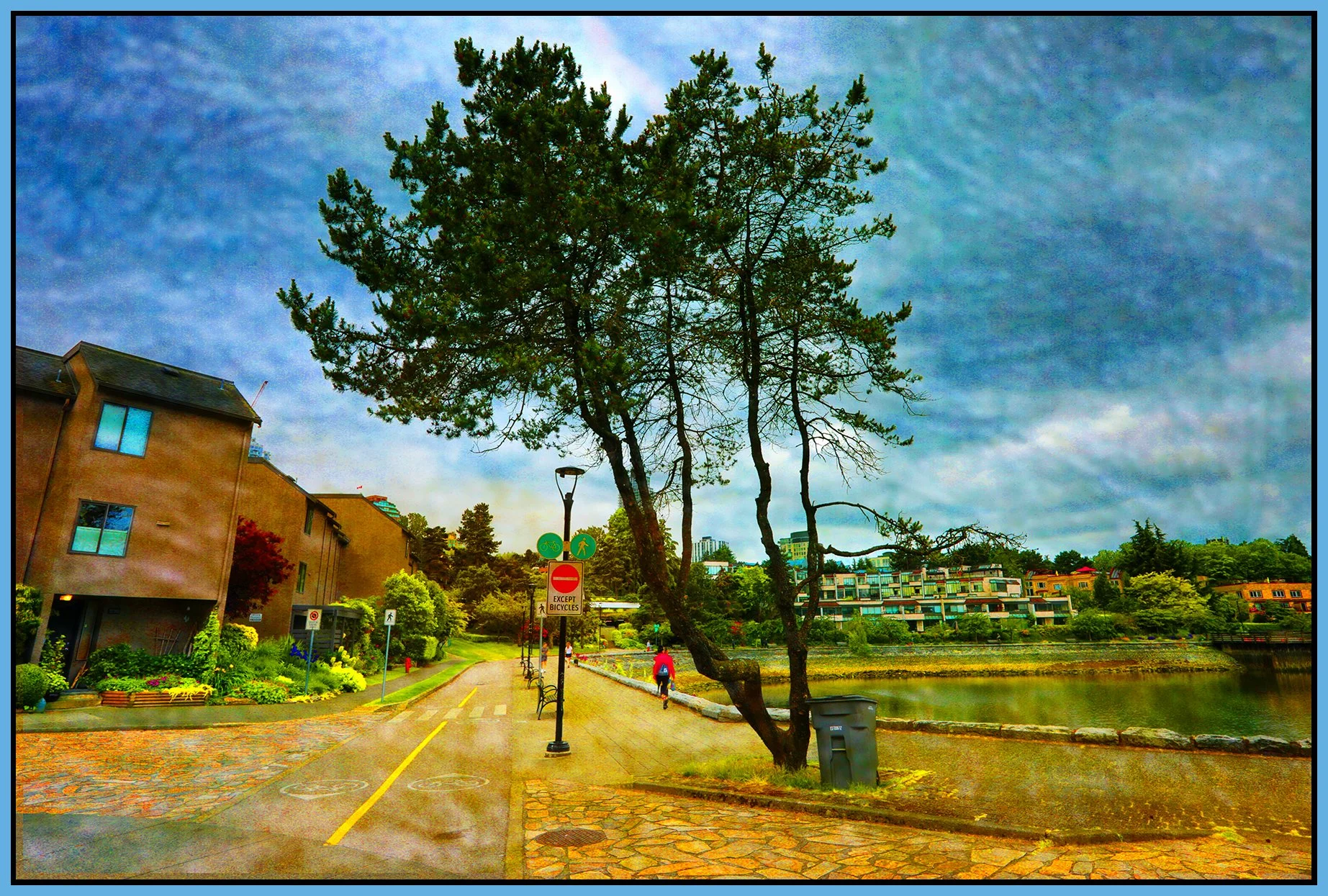 1.2 View False creek Tree LkgS_Jun 4_2025_HDR_5F3767_peVbrntClrs_Paint_4x6s.jpg