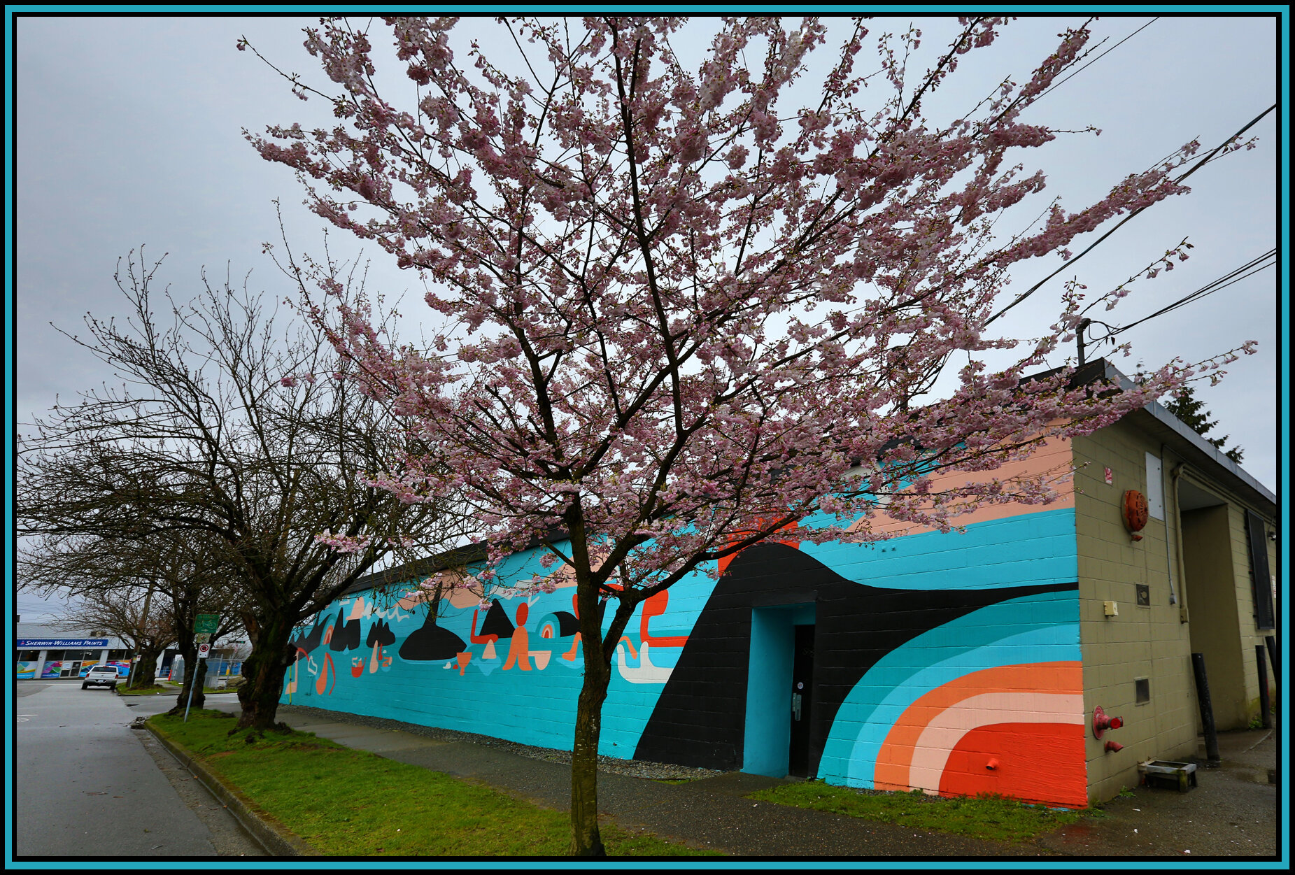 Vernon Dr Mural_Mar 13_2016_HDR_K1443_4x6s.jpg