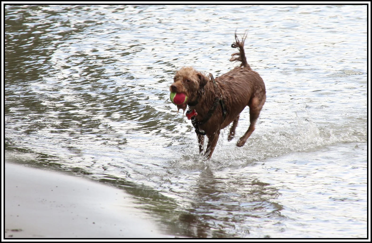 Frances at Brownsville_Jun 27_2017_HDR_L6839_4x6s.jpg