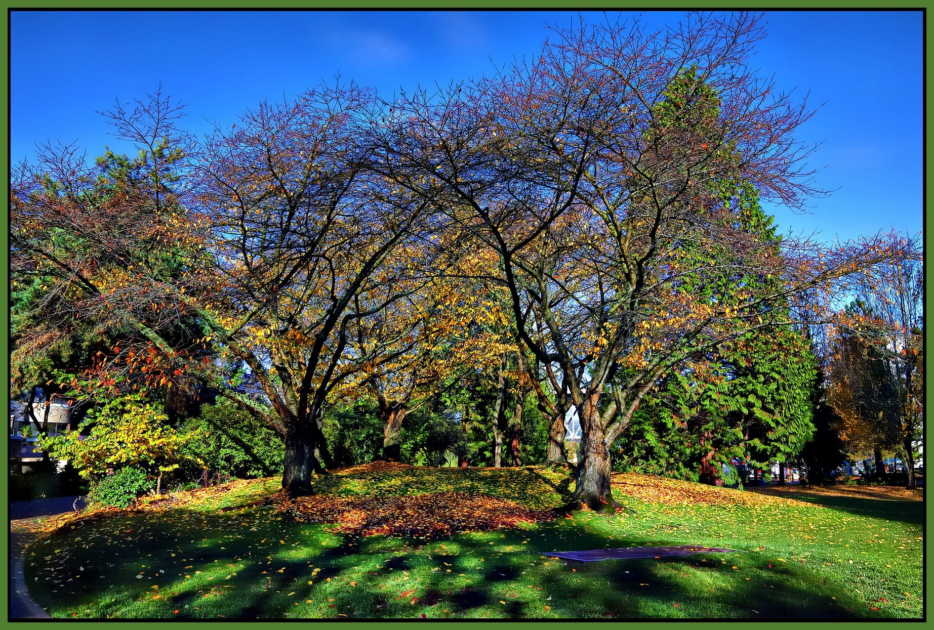 3 View False Ck Hi Tide_Dec 8_2021_HDR_Pan_5A1903_2_peHdr2013_1_4x6s.jpg