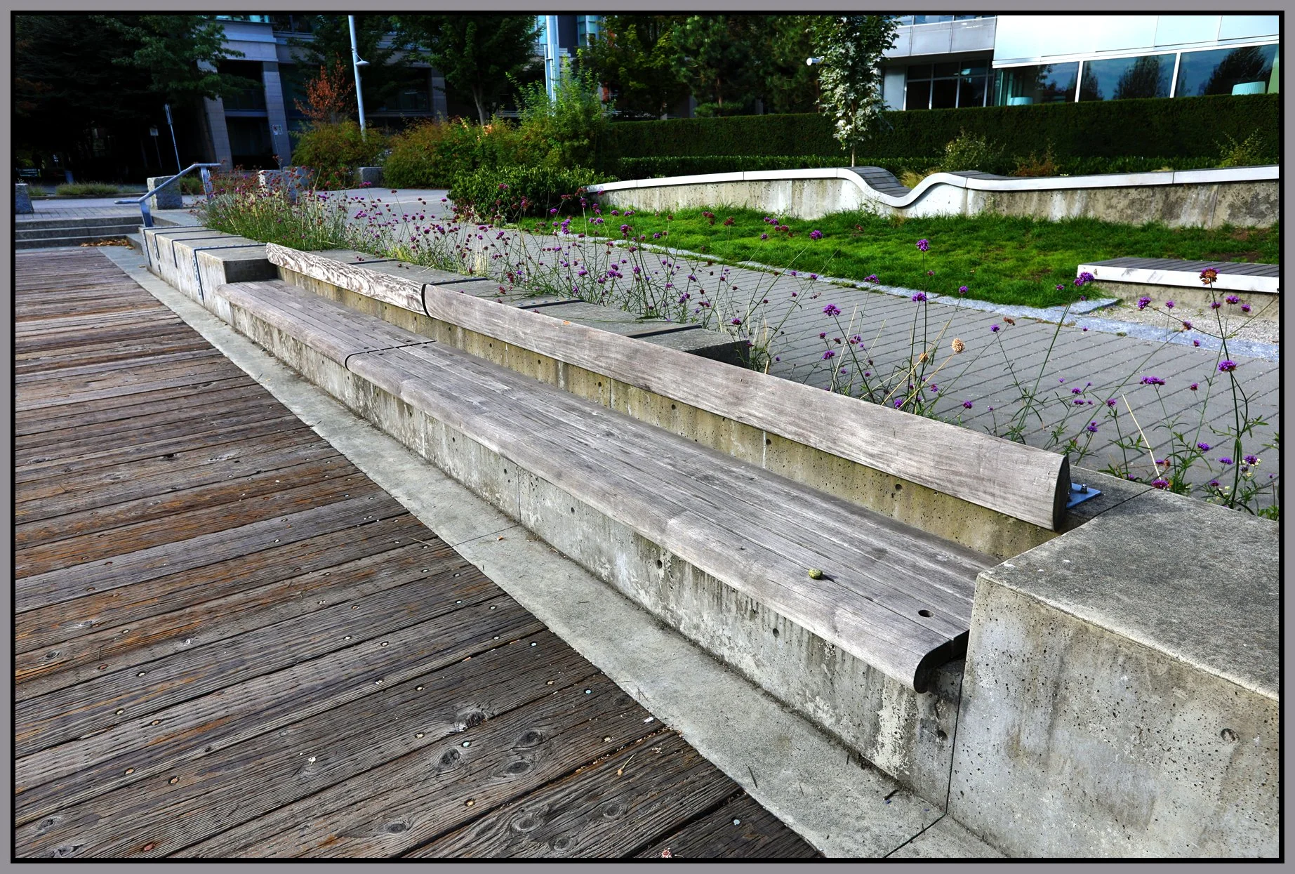 Bench in The Village_Sep 24_2017_HDR_B5350_4x6s.jpg