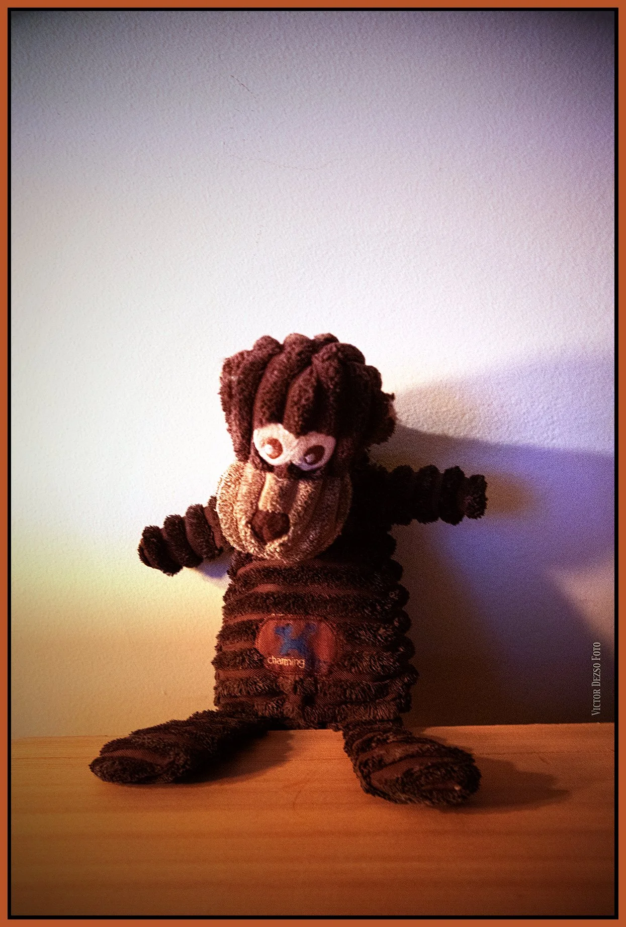 Monkey_Feb 6_2025_CR2_5E9331_peSpeHudson_IntnseSunSet_4x6s.jpg