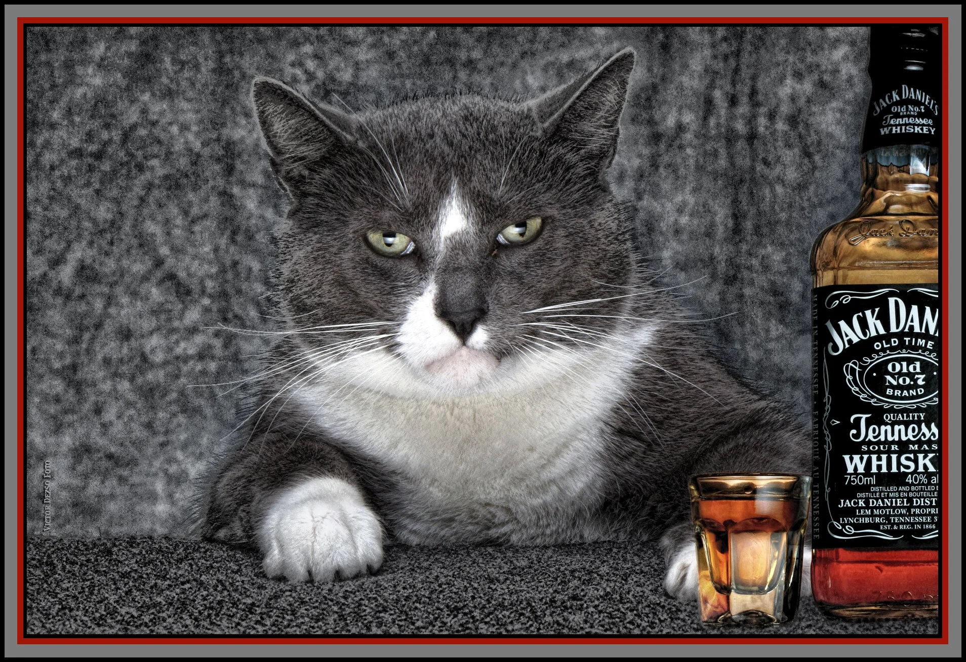 Einstein&Jack_Dec 12_2010_7360_peSfterPncl&_4x6s.jpg