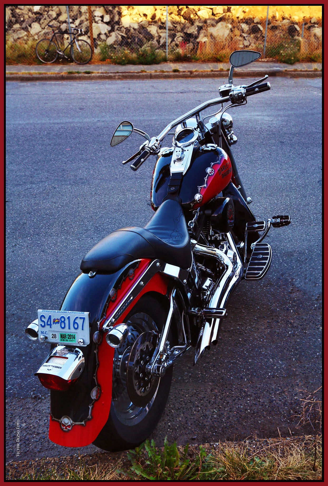 Harley on Raymur_Aug 21_2013_HDR_peLomo_4x6s.jpg