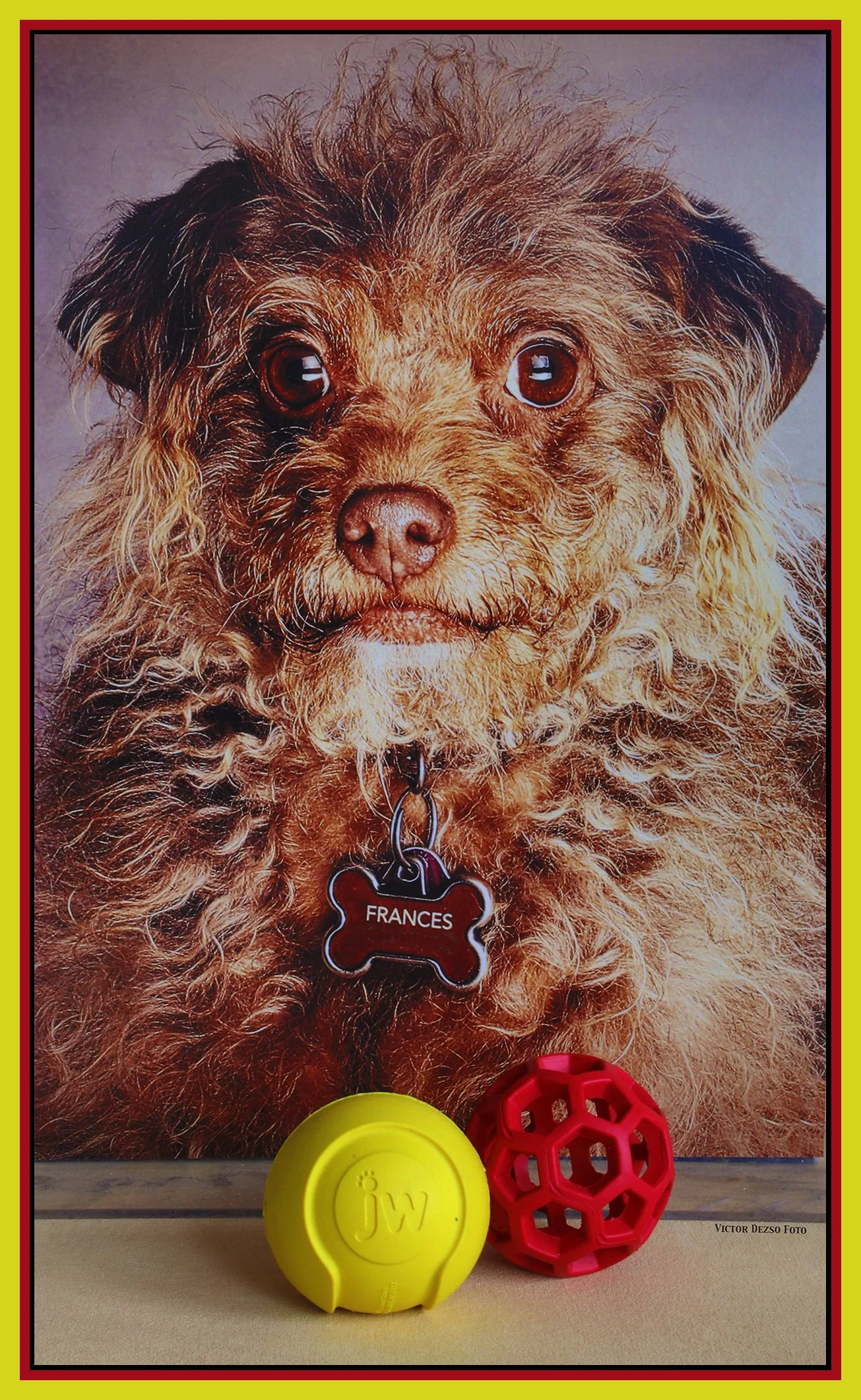 Frances & JW Bouncin Baseball_Nov 1_2023_HDR_5C8934_4x7ss.jpg