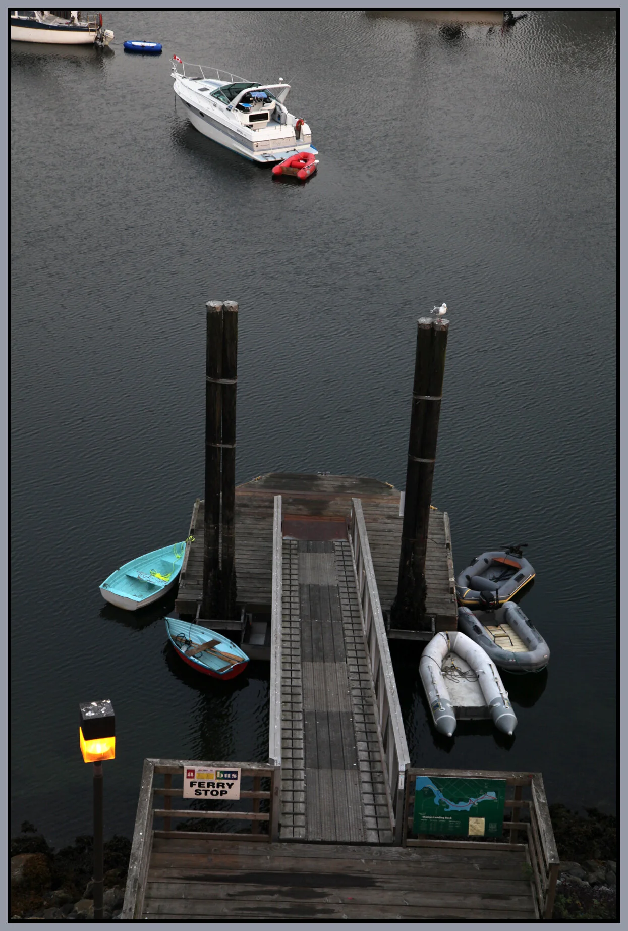 Cambie Br-Aug 30 2009_8331_4x6s.jpg