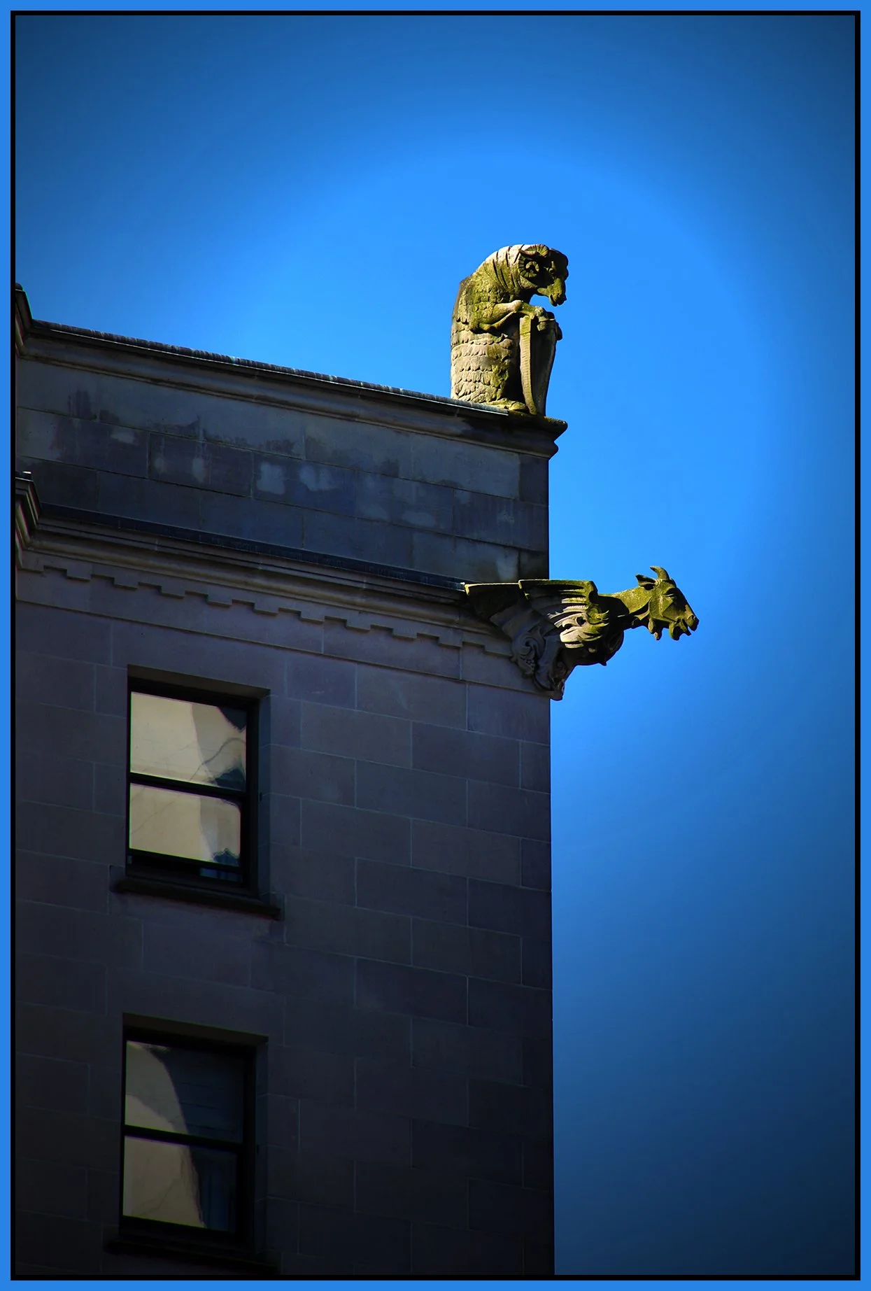 Hotel Vancouver Gargoyles_Mar 6_2022_HDR_4G7463_peTdCreatns_4x6s.jpg