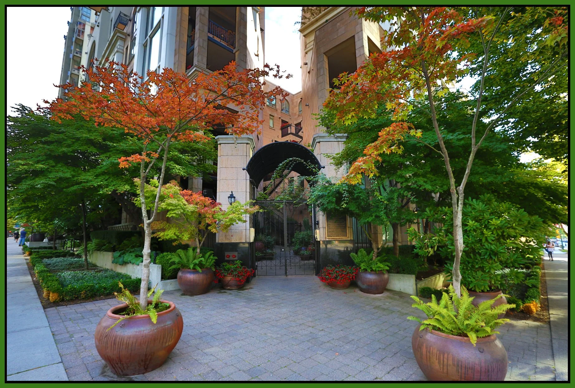 499 Drake Trees_Aug 29_2016_HDR_L8000_4x6s.jpg