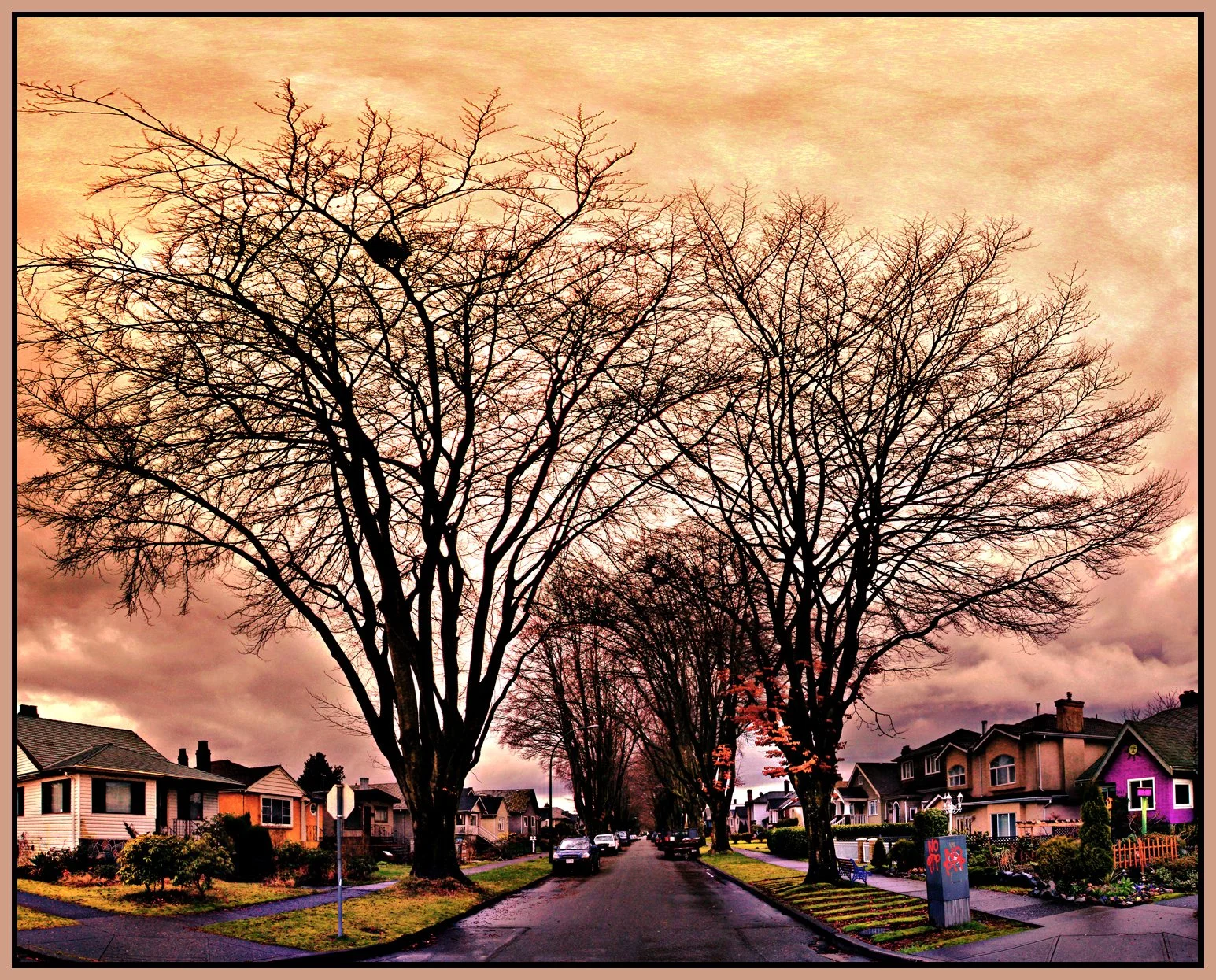 E.Van Trees_Mar 14_2013_Pan_1259_peW&CGggg_4x5s.jpg