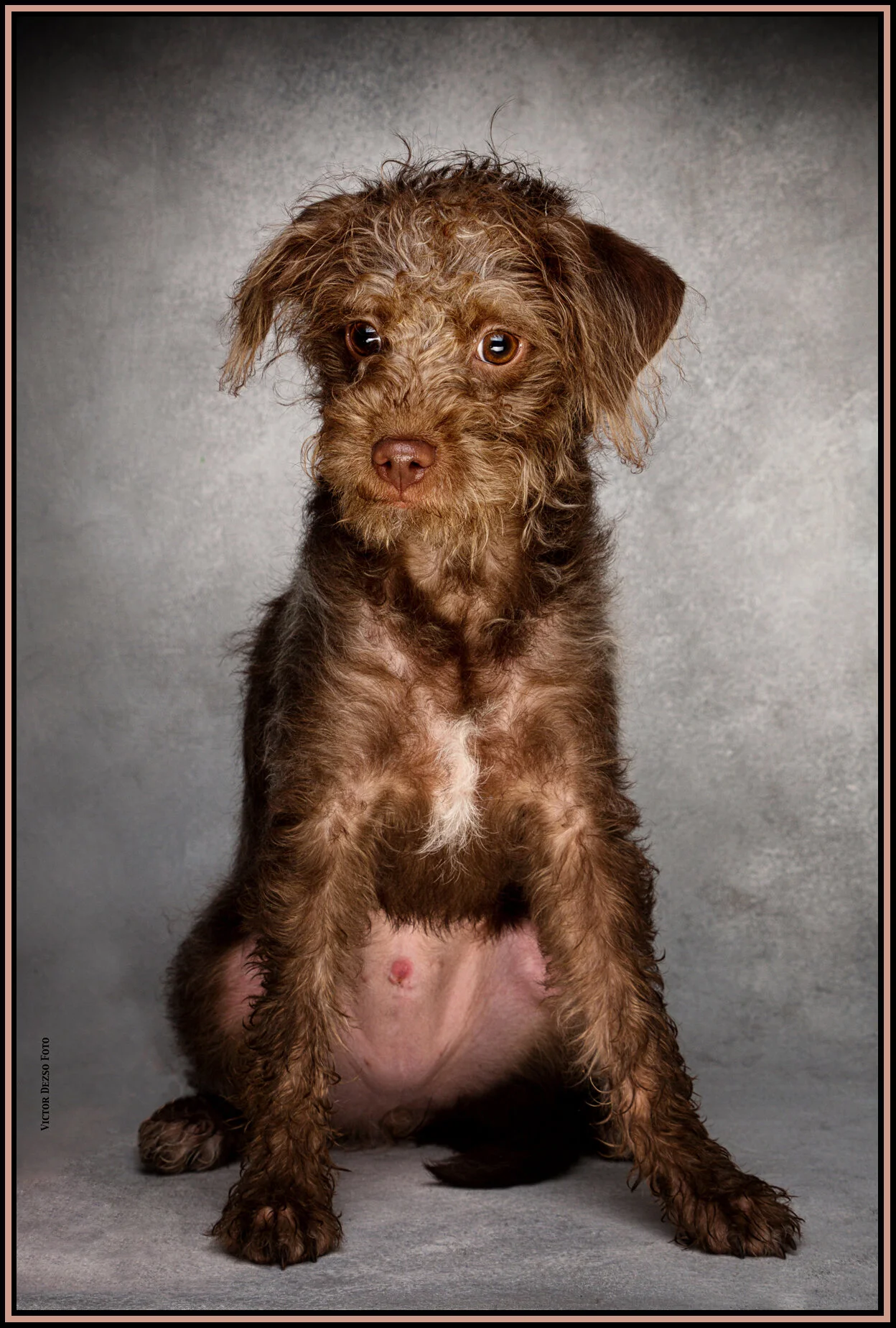 Frances Stewart_Feb 14_2015_F0488_1_peSharpfect_4x6s.jpg