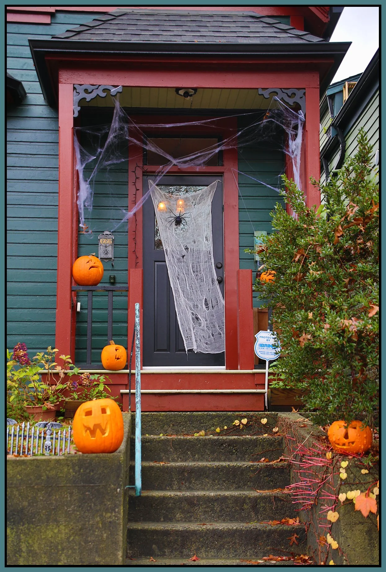 Pumpkin_Nov 2_2015_HDR_FH9573_4x6s.jpg