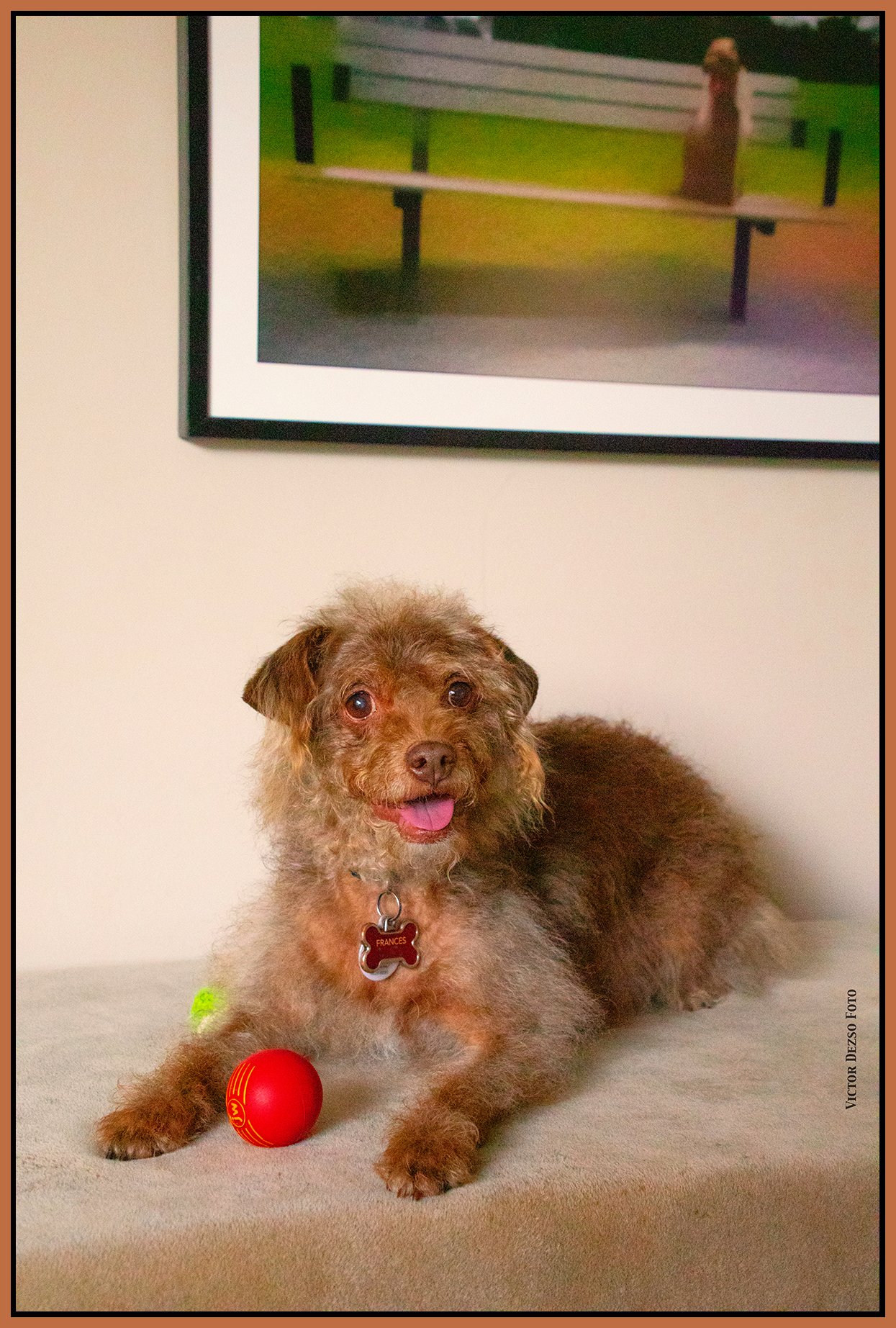 Frances_Mar 28_2024_CR2_4H5901_peHyperstrip_4x6s1.jpg