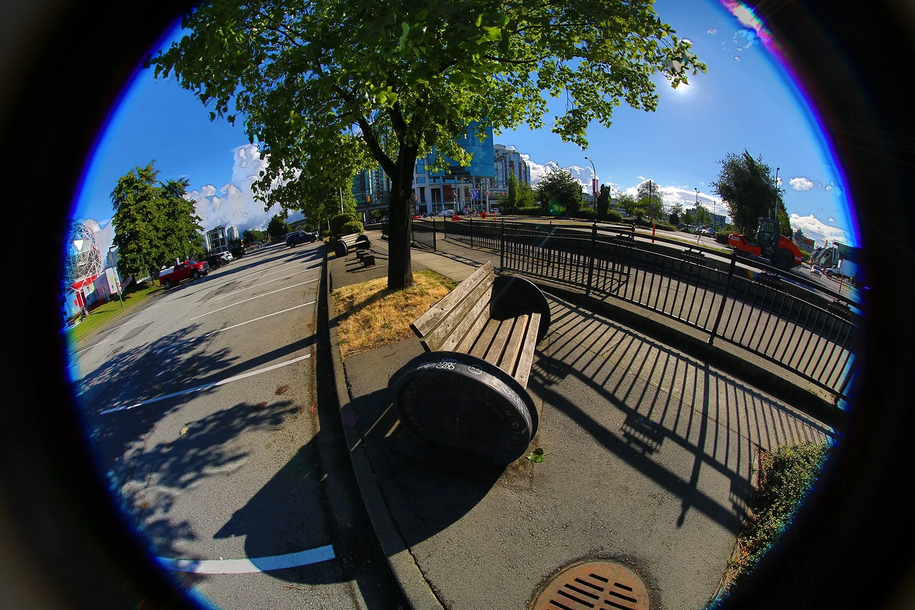 Bench on Quebec Ave_Jun 25_2018_HDR_A5248_4x6.jpg
