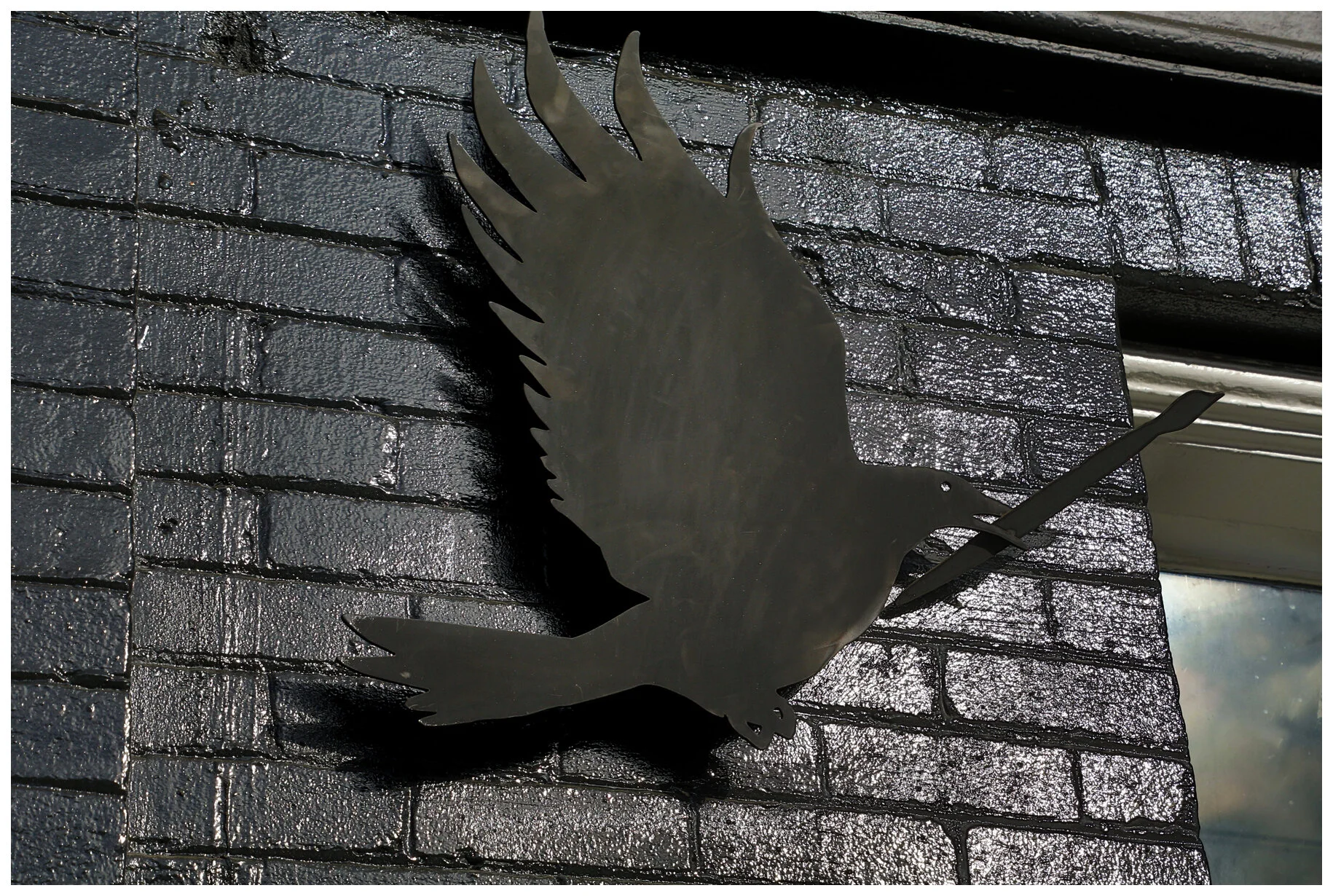 Powell St Black Bird_Feb 29_2016_HDR_K9319_4x6s.jpg