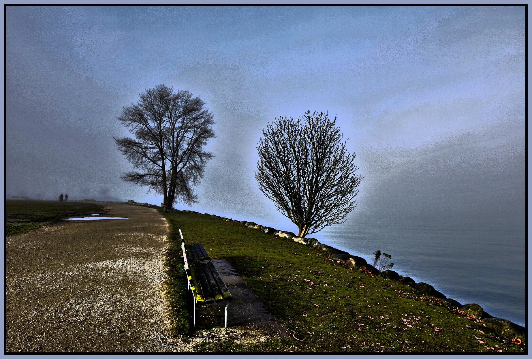 Vanier Park Trees in Fog_Jan 21_2026_HDR_4K7474_peGeo_4x6s.jpg
