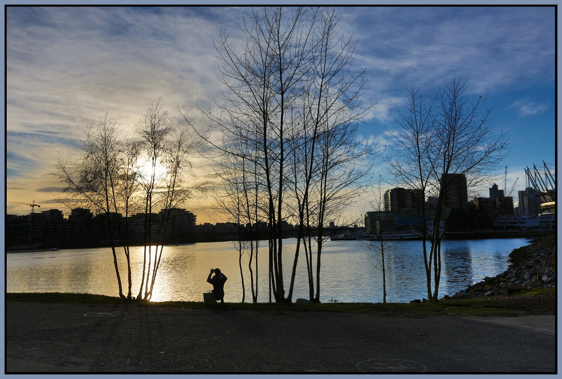 6 View Trees_Jan 13_2016_HDR_K4308_4x6s.jpg