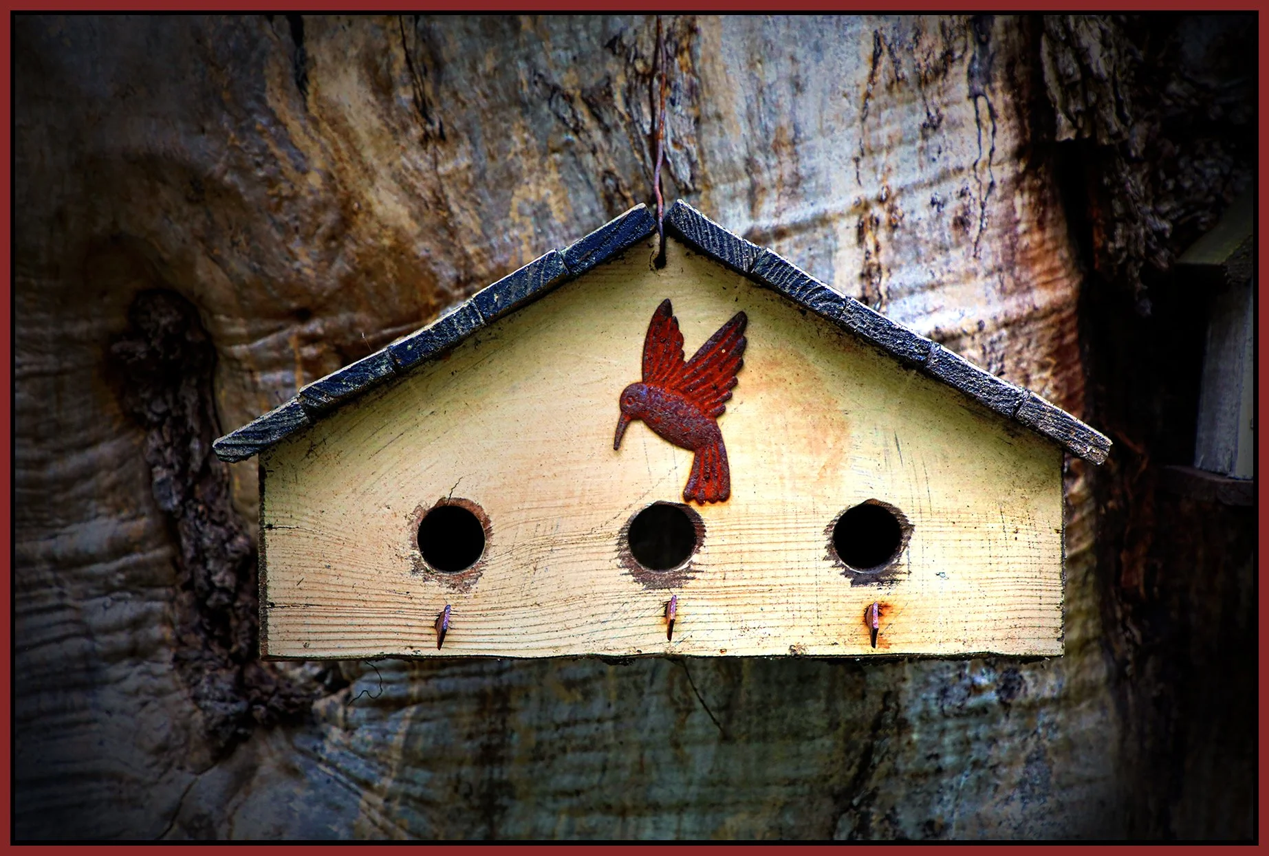580 Heatley St Tree House_May 5_2024_HDR_4H7633_peHyperstrip_PopDrkn_4x6s.jpg