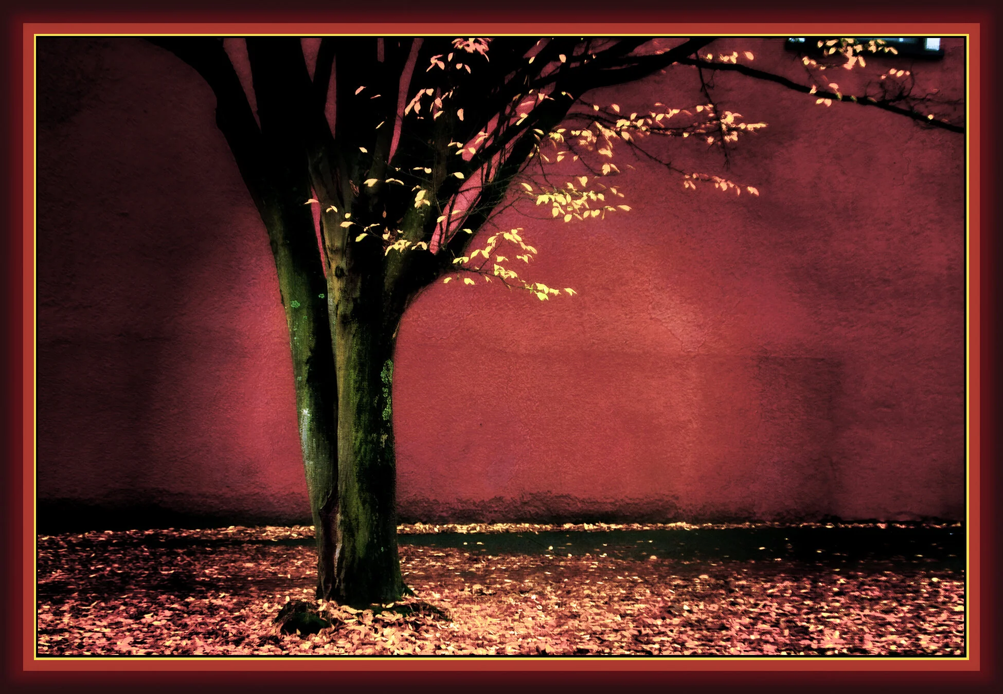 Bennys Mkt_Nov 08_8198_peVibr&DecRadVigVividA_1_4x6s.jpg