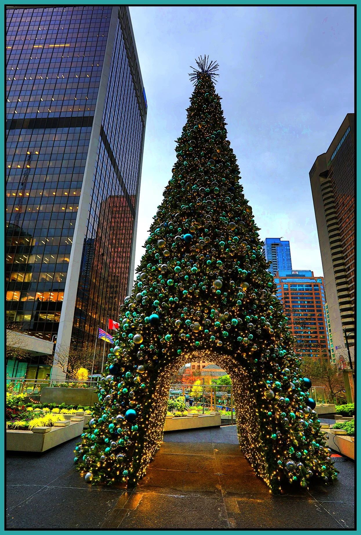 Xmas Tree_Nov 22_2021_HDR_5A1490_peVibrClrs_4x6s.jpg