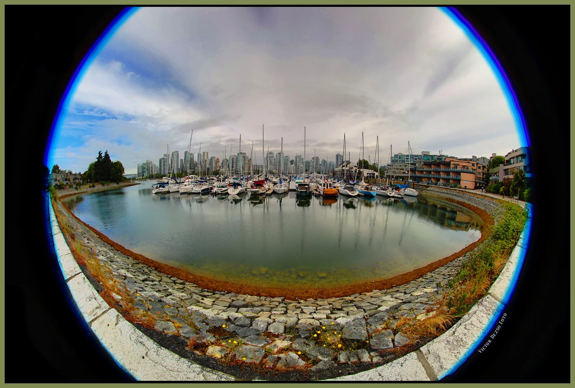2 View False Creek LkgN_Jul 2_2025_HDR_5F5119_pePenciltest-r_4x6s.jpg