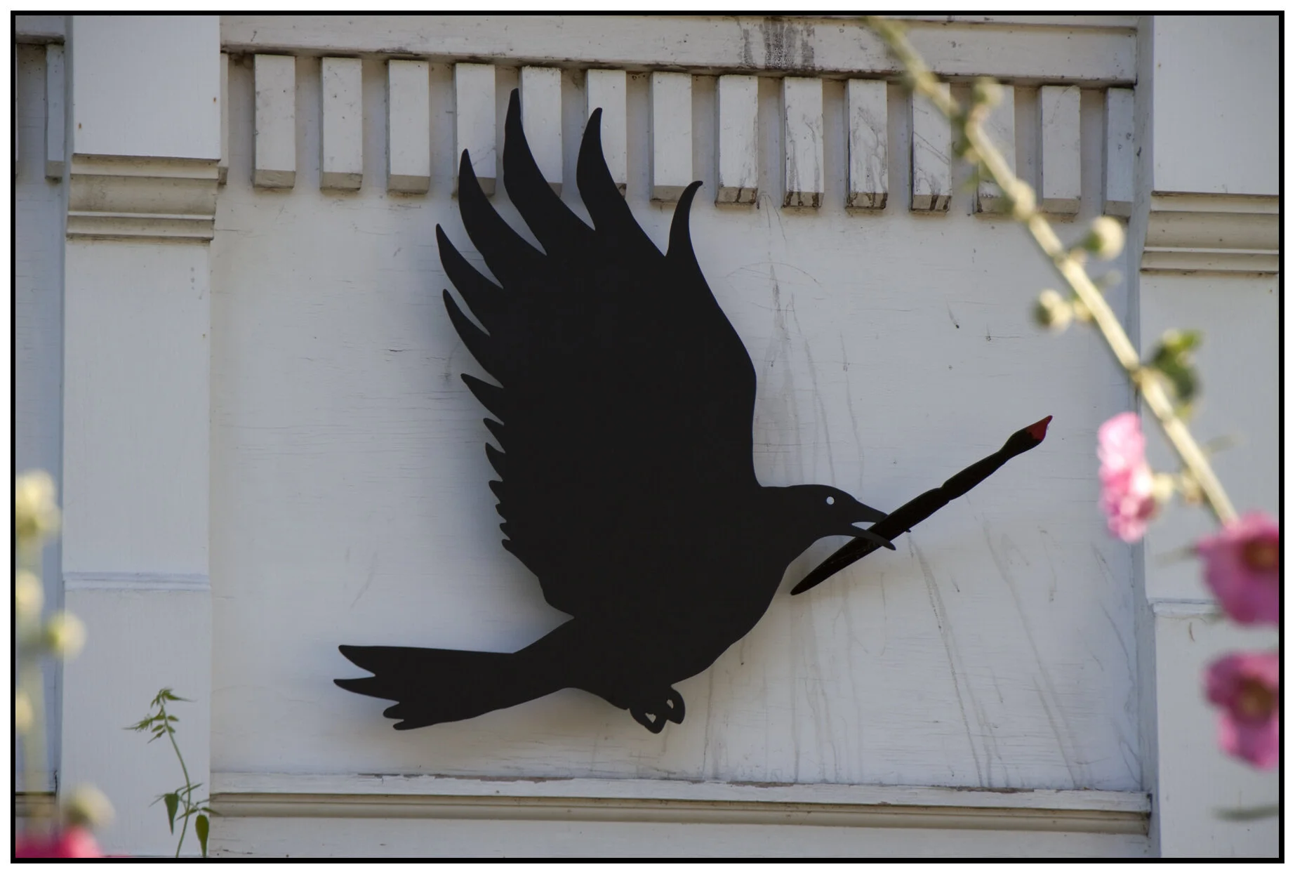 Black Bird_Keefer_July 24_2010_9801_4x6s.jpg