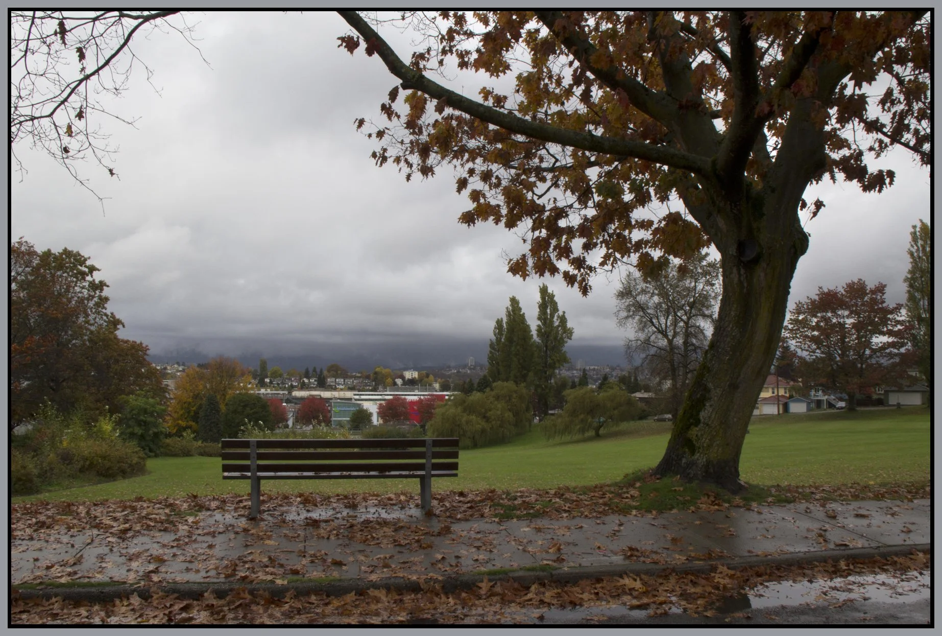 Falaise Pk_Oct 24_2010_3364_4x6s.jpg