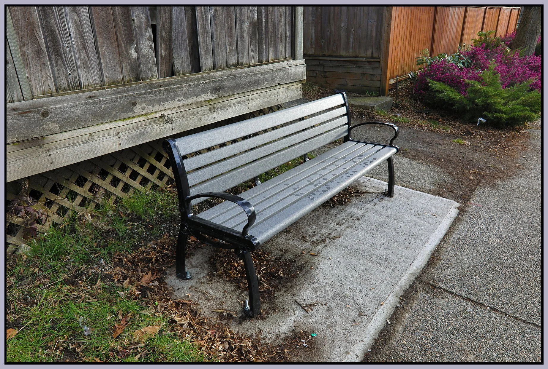 Bench on Prior St_Mar 12_2023_HDR_5D5462_4x6s.jpg