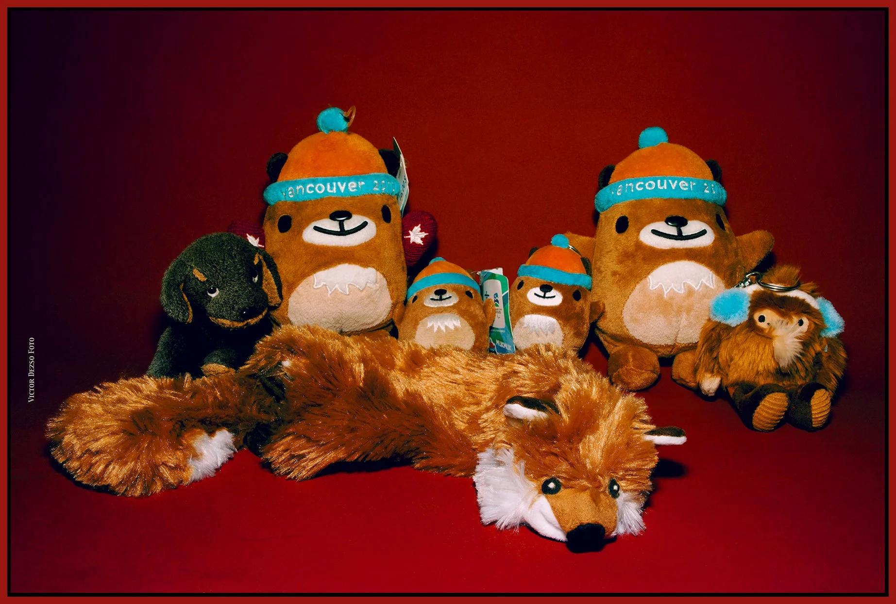 Tykes_Dec 17_2025_CR2_5F5535_peEWGT_Pop_4x6s.jpg