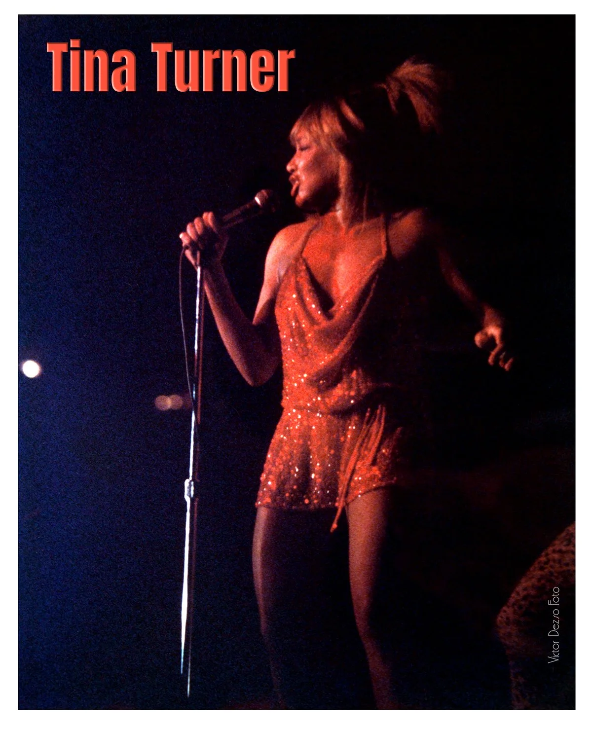 Tina Turner_8961_1_4x5.jpg