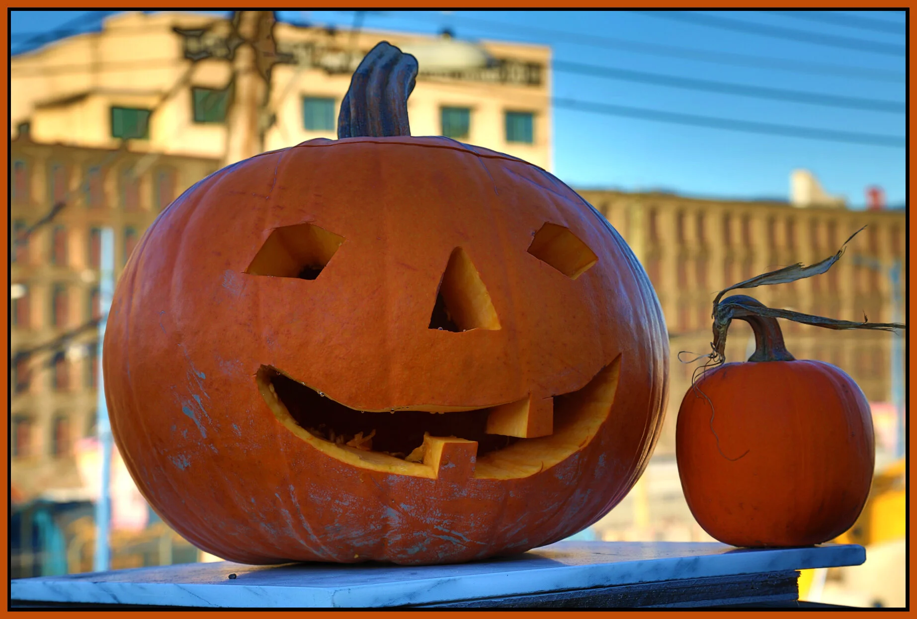 Pumpkins_Oct 27_2013_HDR_D1750_4x6s.jpg