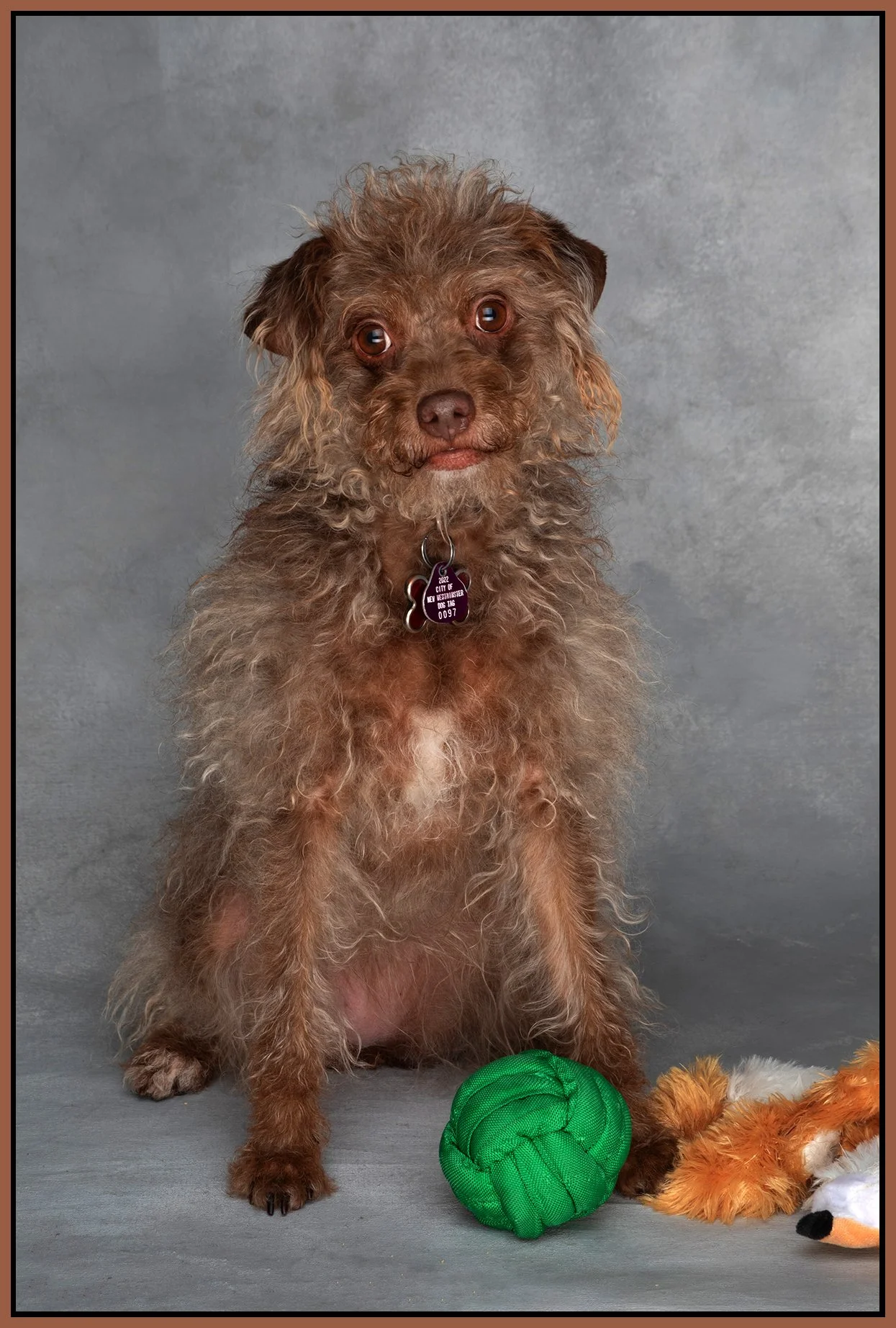 Frances Stewart_Mar 16_2022_CR2_5B0547_peVibr_4x6s.jpg