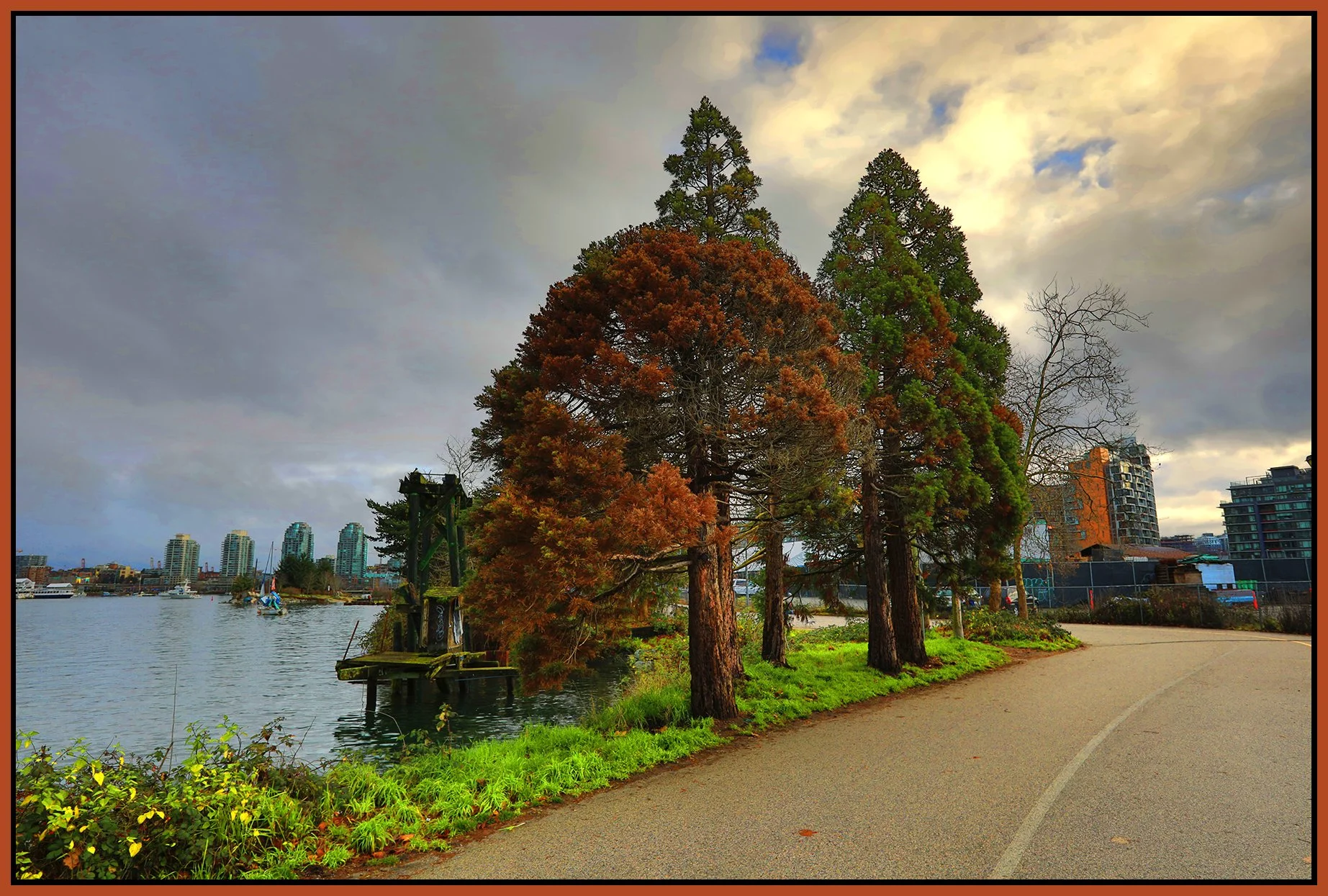 3.2 View Trees_Dec 31_2023_HDR_5E3068_peVibrClrs_4x6s.jpg