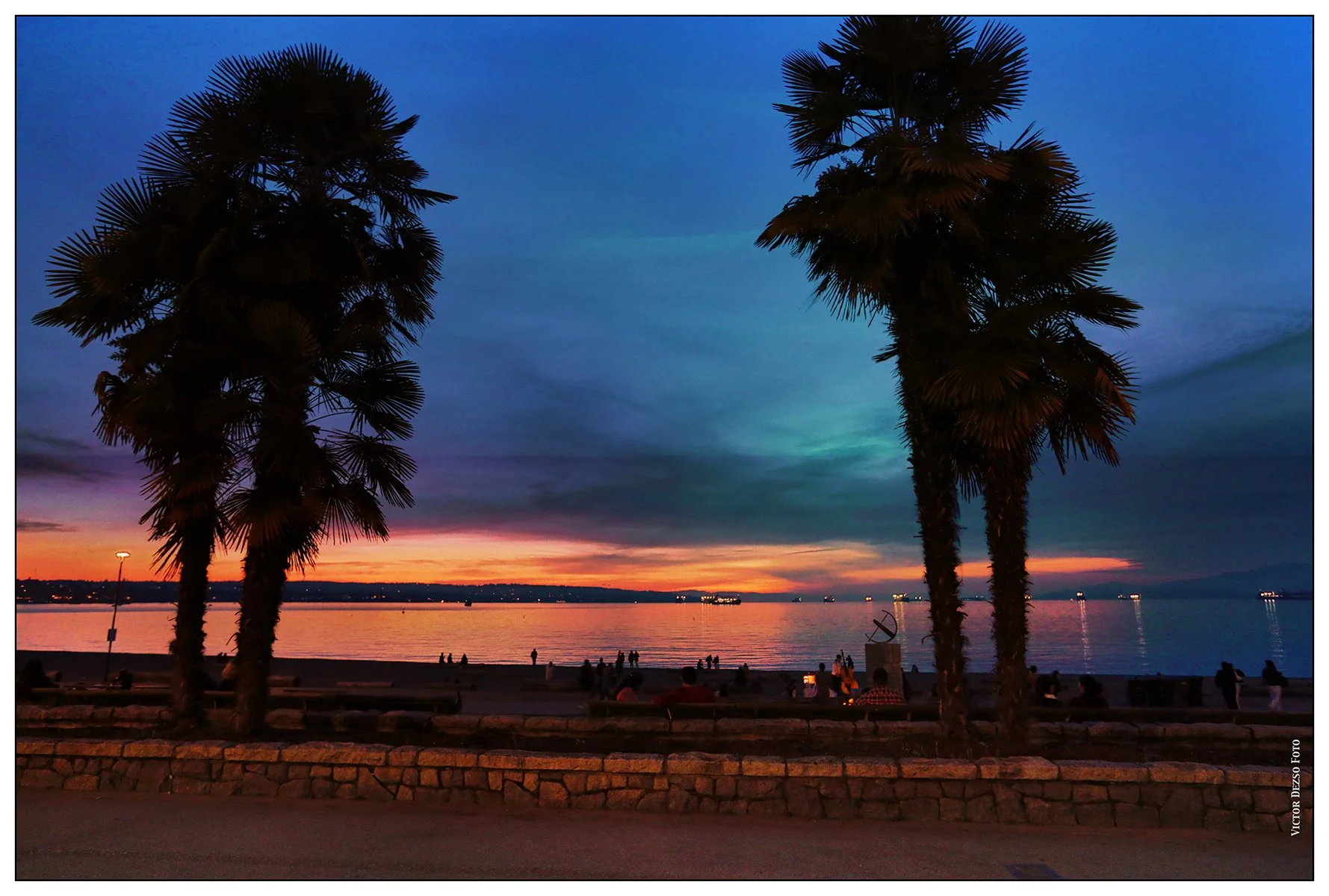 English Bay Palms_LkgW_Oct 8_2026_HDR_4L4268_peS&s002_4x6s.jpg