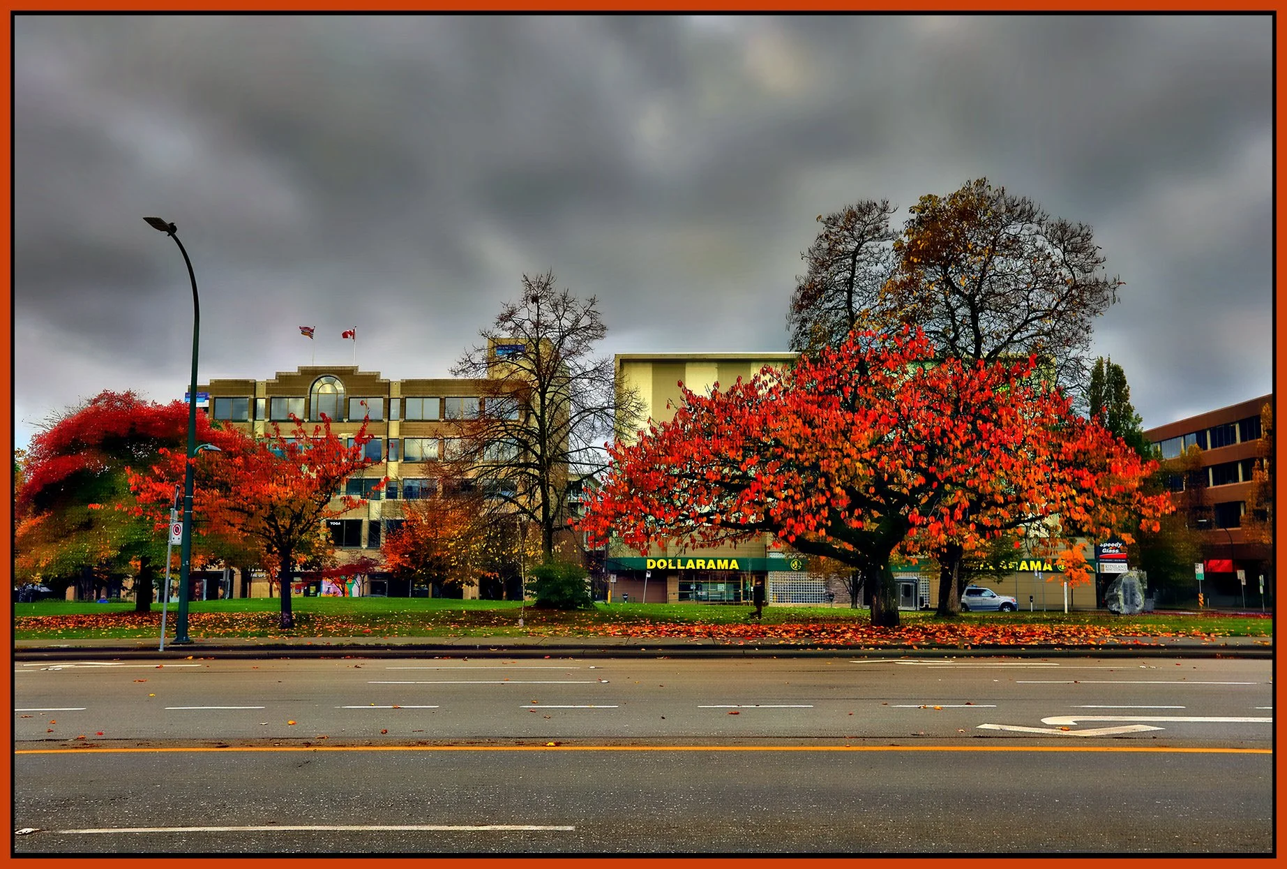 Seaforth Park Trees_Nov 3_2024_HDR_5E4151_peHdr2013_1_4x6s.jpg